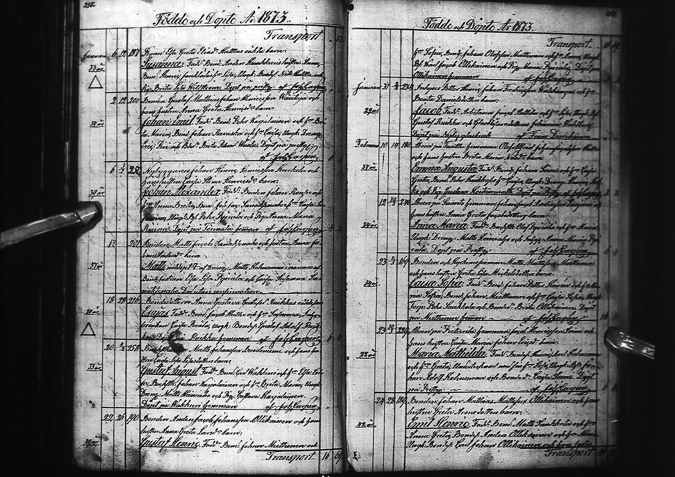 [ kuvat/132.jpg ]