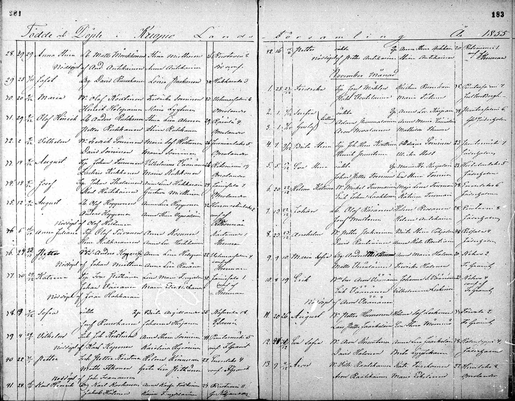 [ kuvat/183.jpg ]