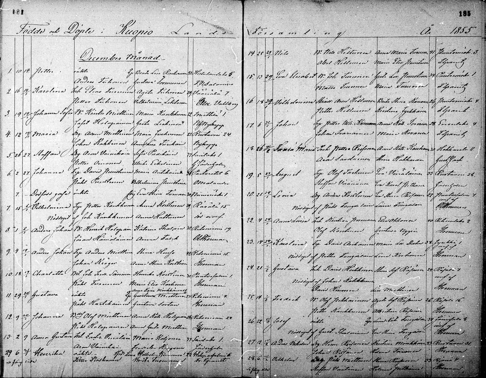 [ kuvat/185.jpg ]