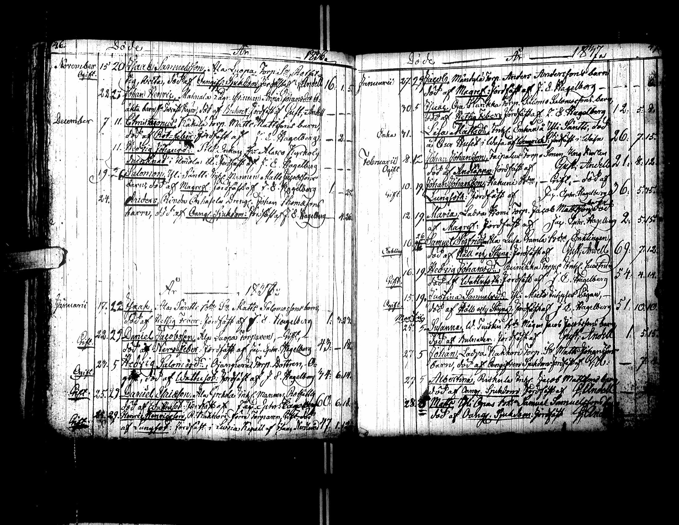 [ kuvat/219.jpg ]