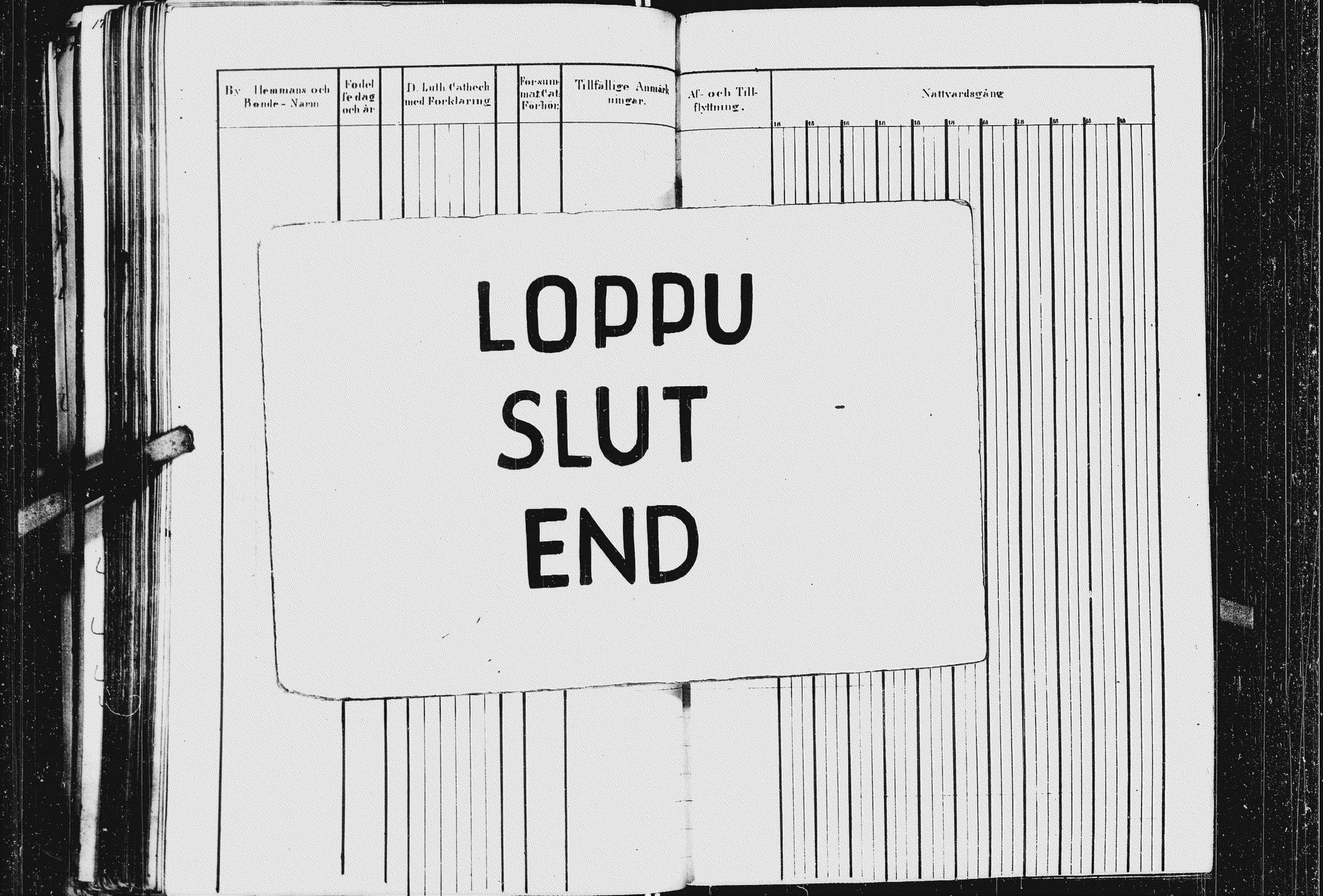 [ kuvat/248.jpg ]