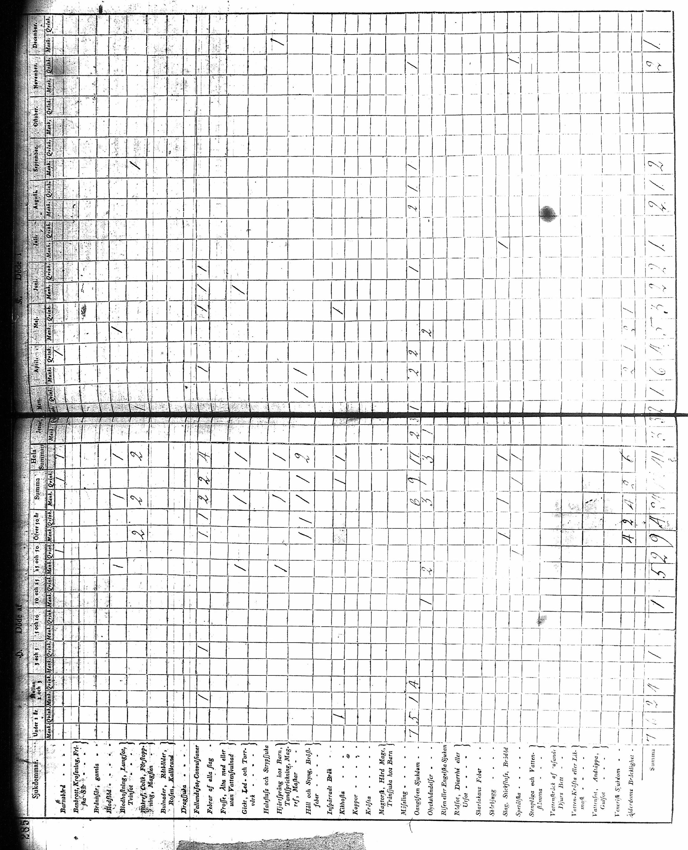[ kuvat/171.jpg ]