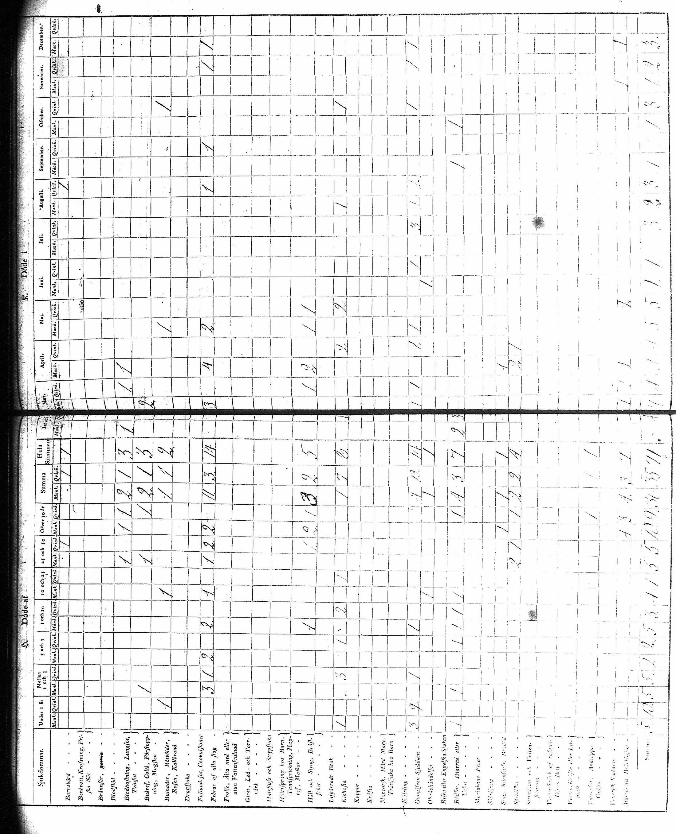 [ kuvat/175.jpg ]