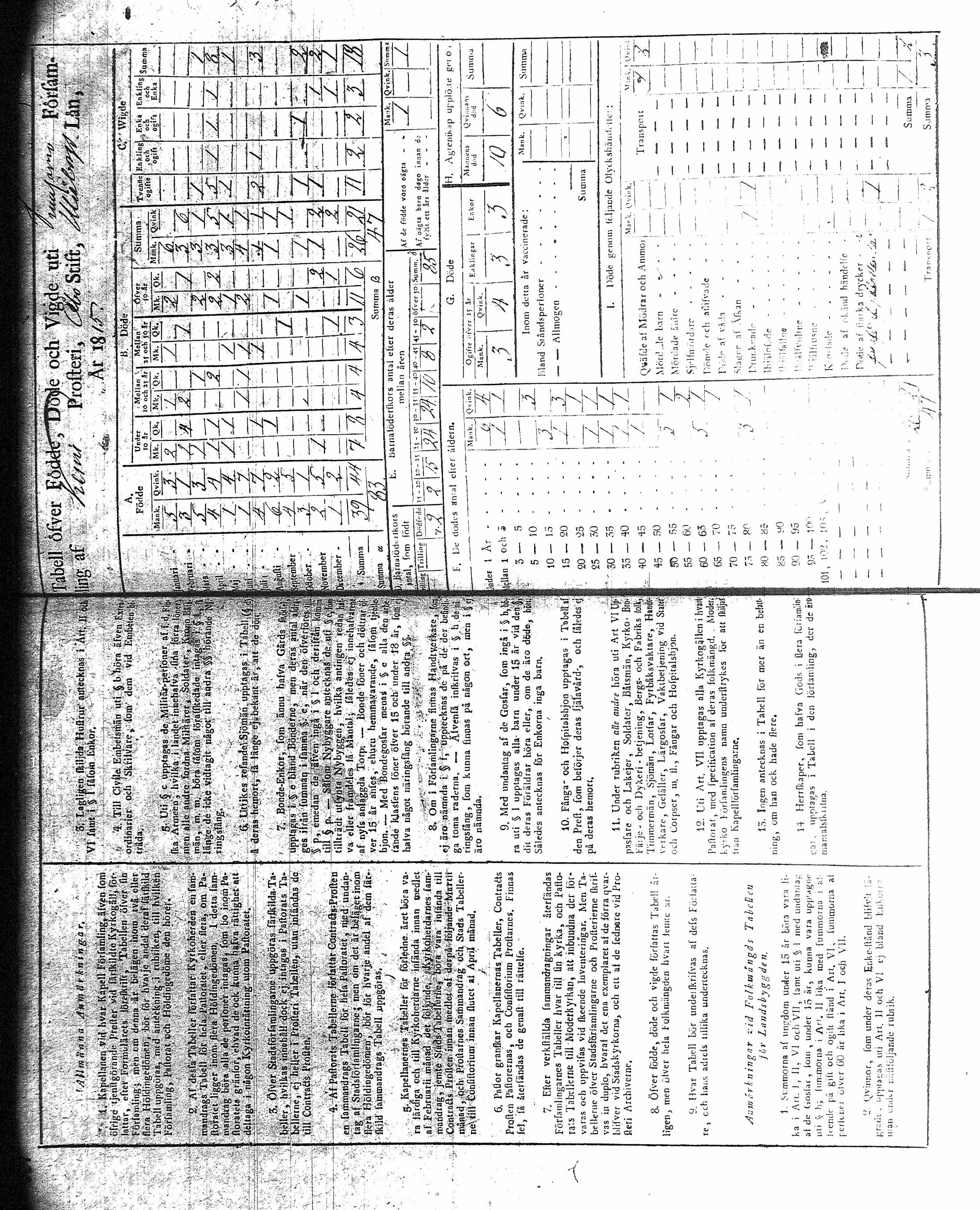 [ kuvat/195.jpg ]