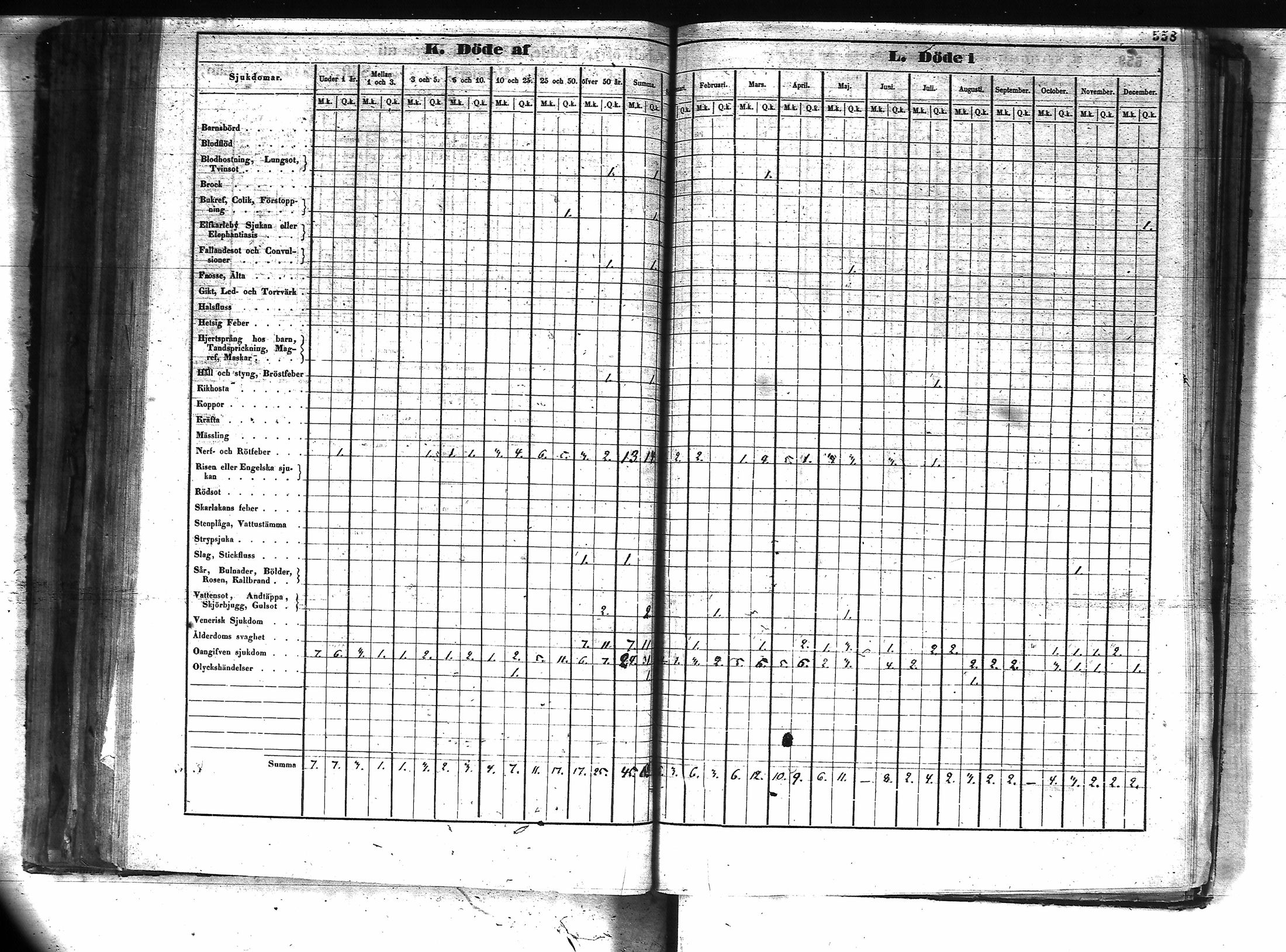 [ kuvat/302.jpg ]