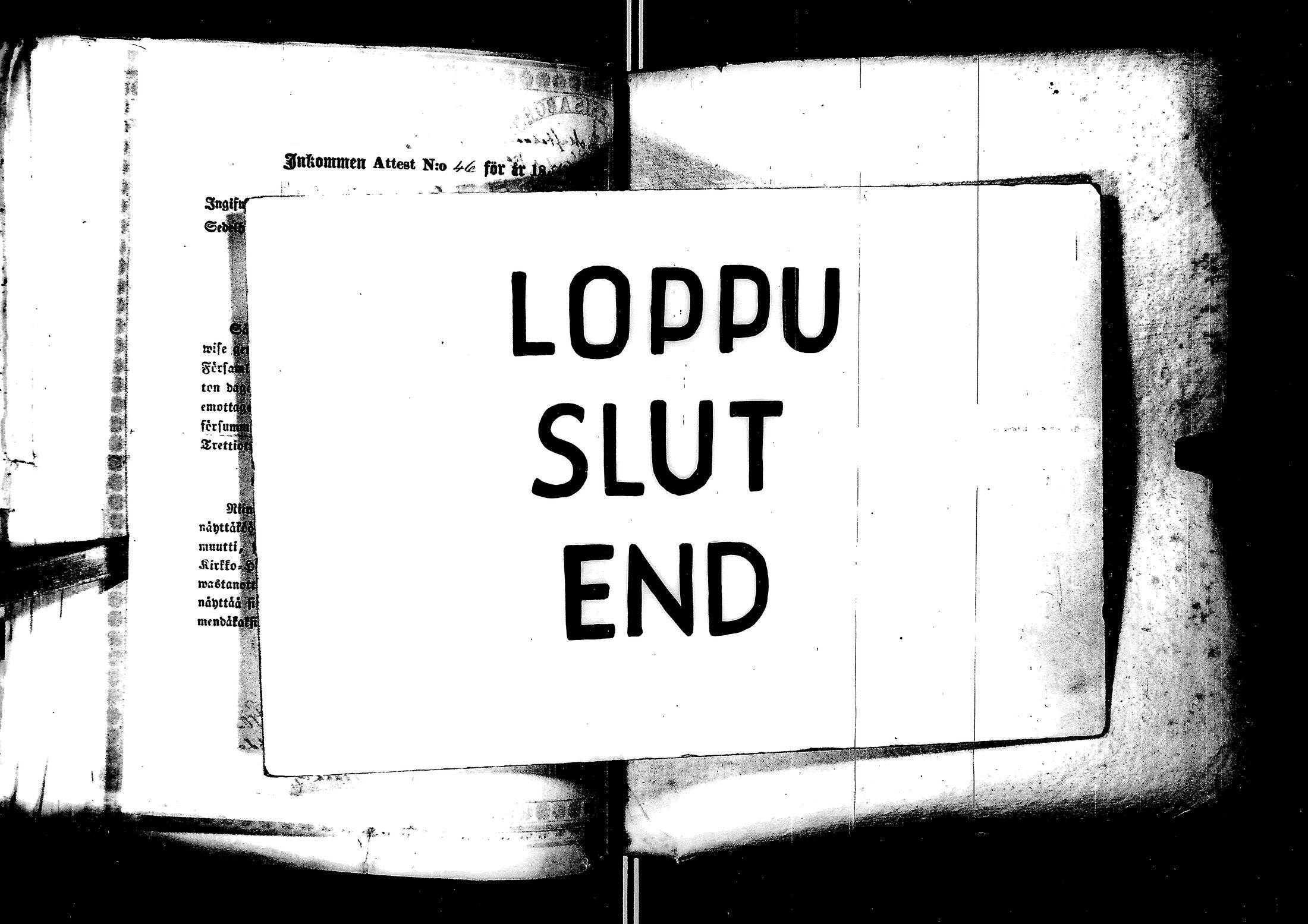 [ kuvat/305.jpg ]