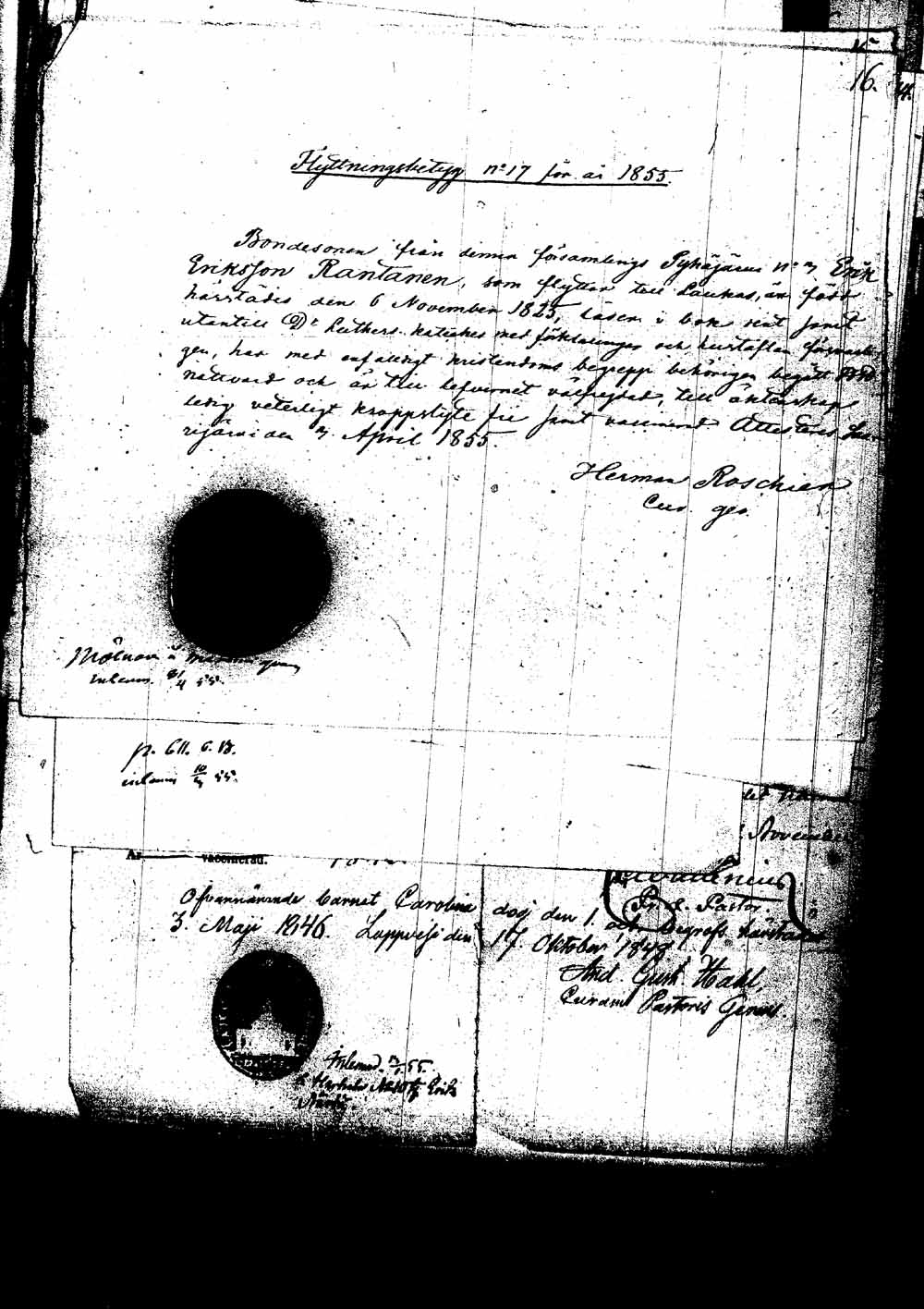 [ kuvat/196.jpg ]