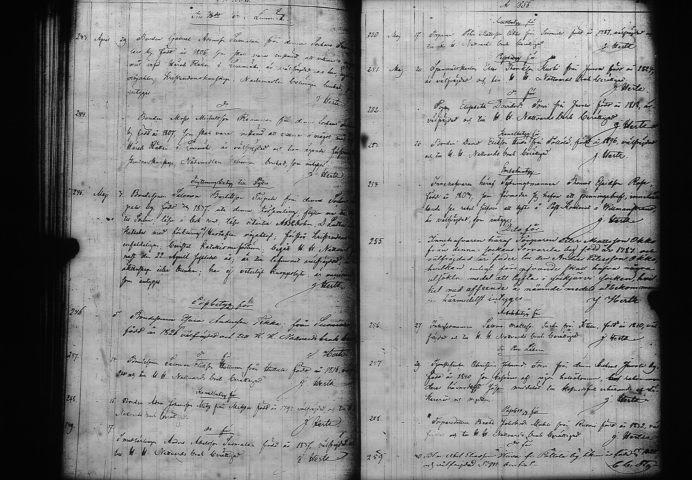 [ kuvat/121.jpg ]