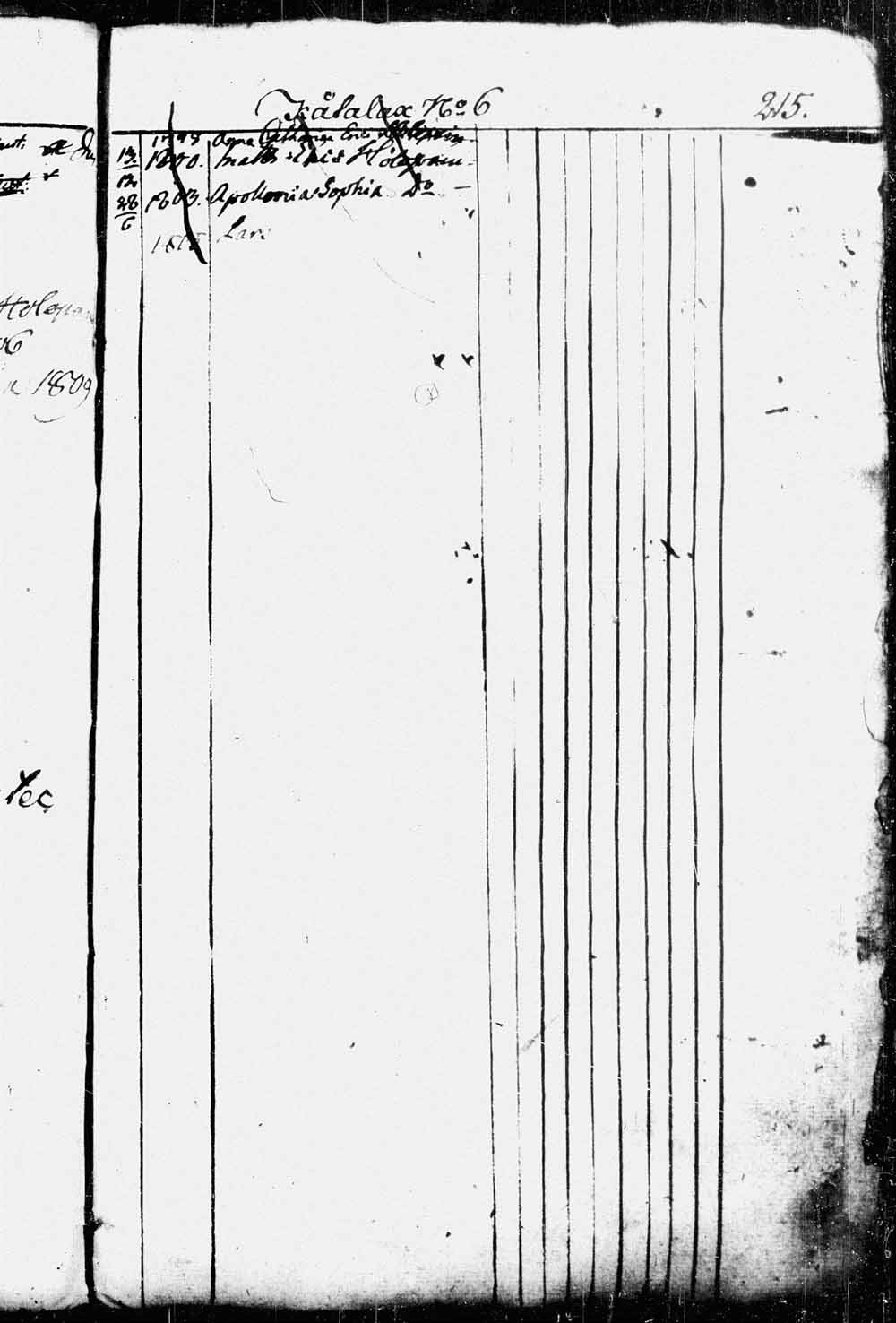[ kuvat/185.jpg ]