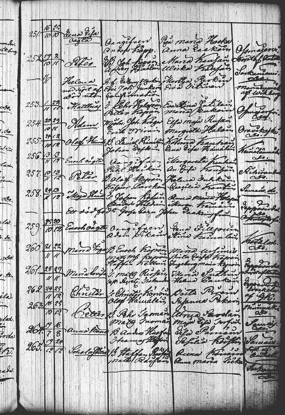 [ kuvat/421.jpg ]