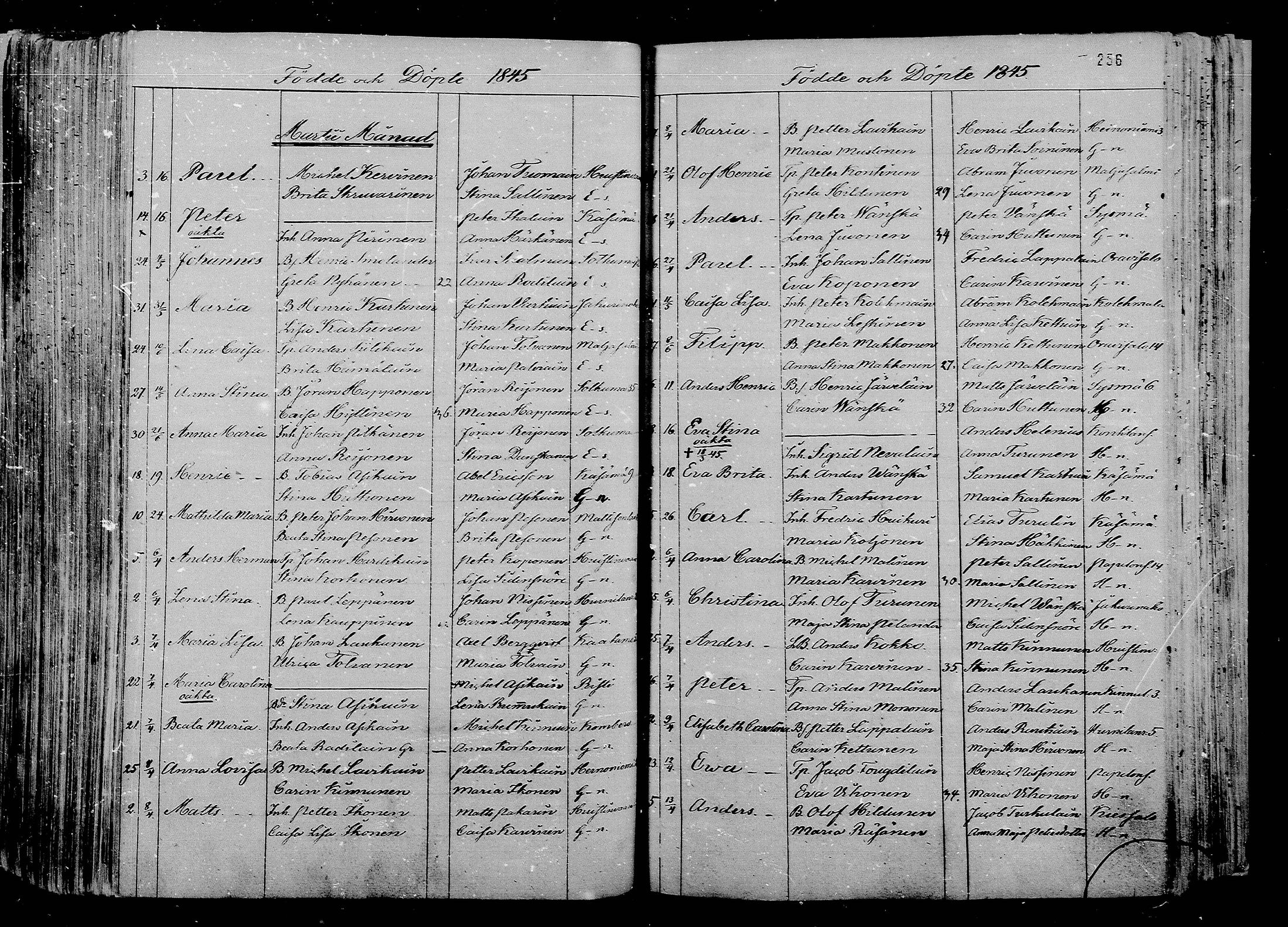 [ kuvat/181.jpg ]
