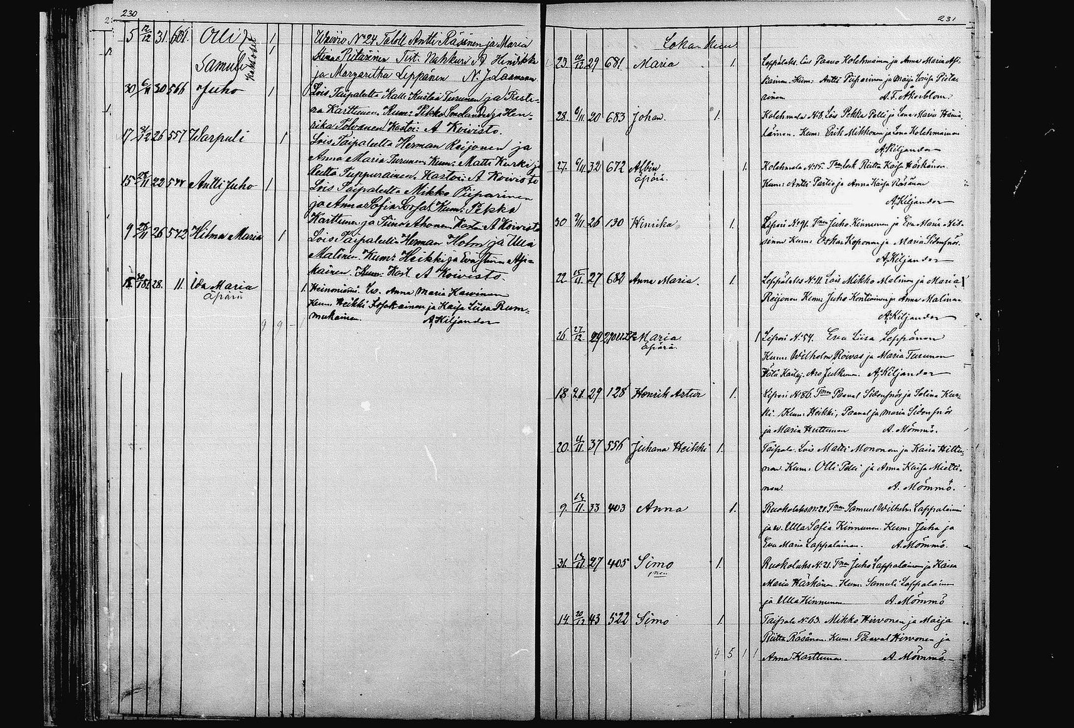 [ kuvat/117.jpg ]