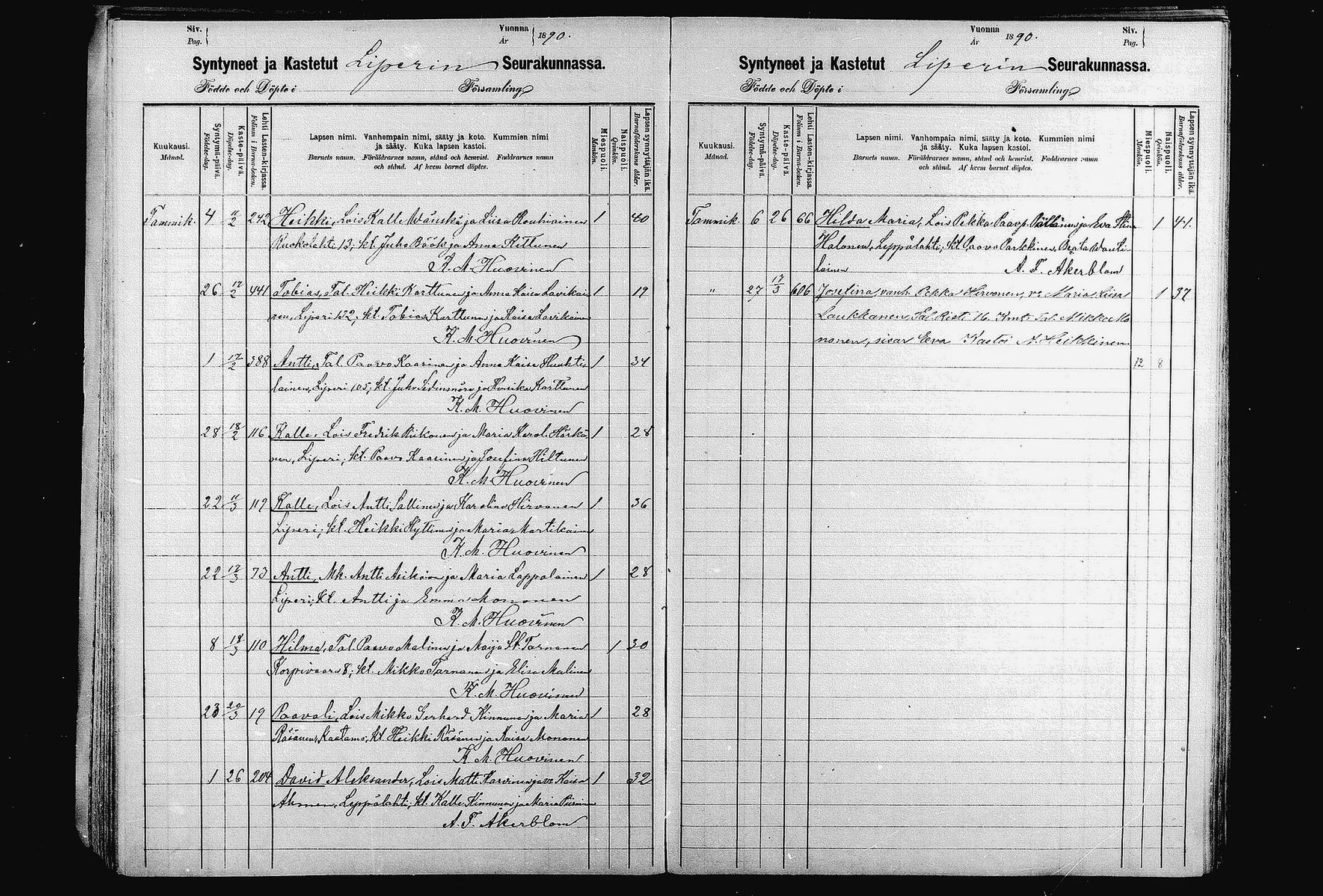 [ kuvat/191.jpg ]