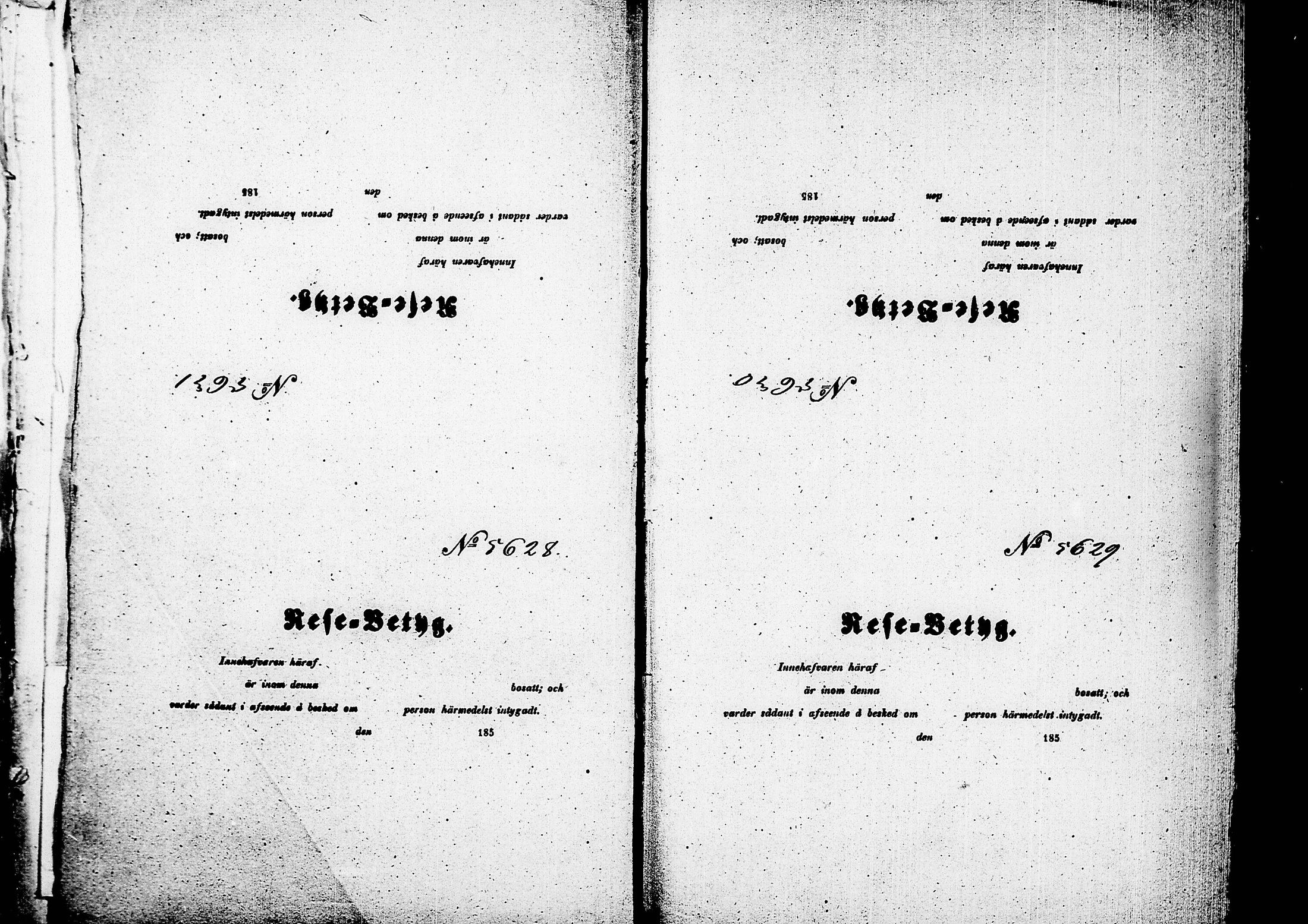 [ kuvat/147.jpg ]