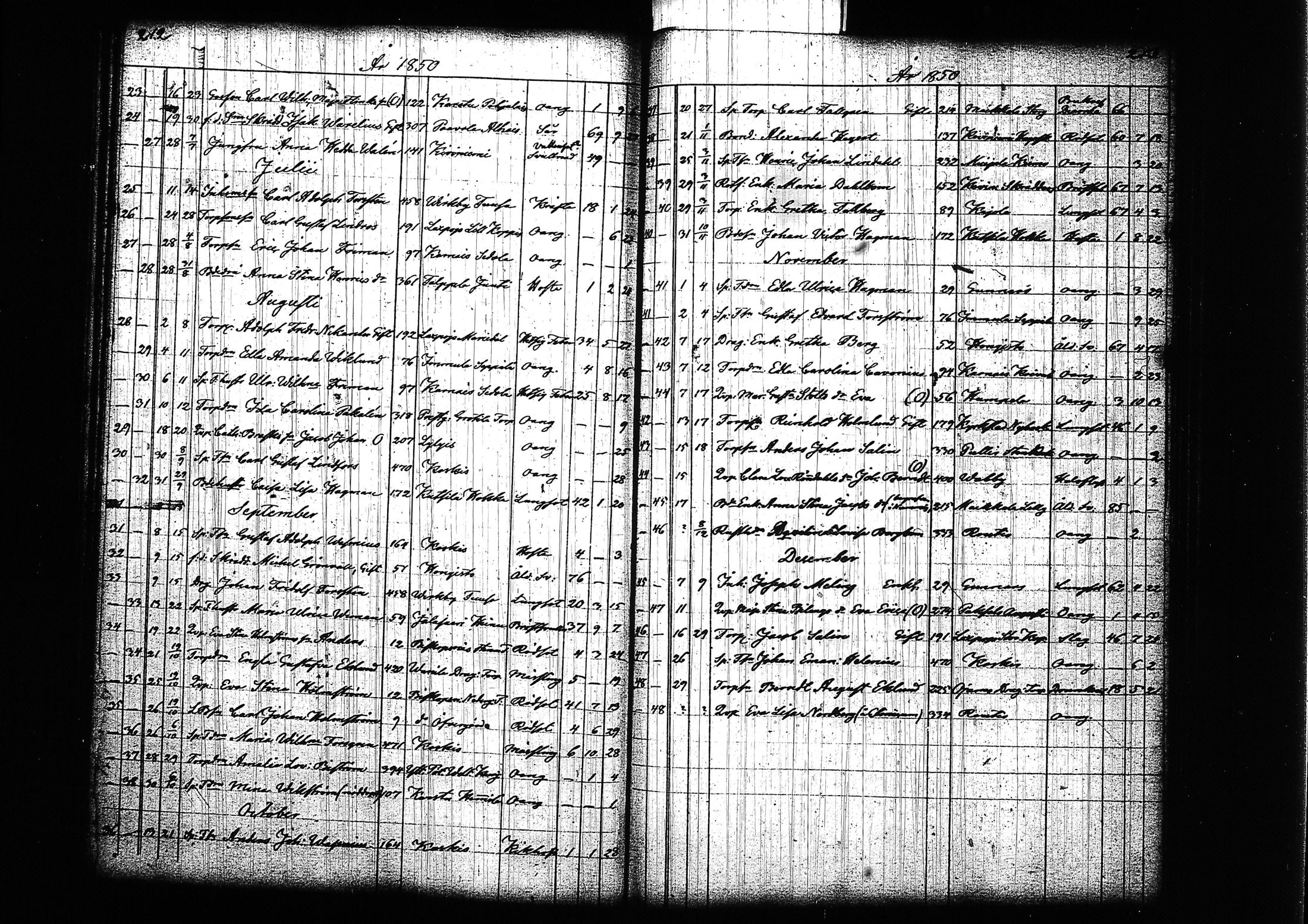 [ kuvat/117.jpg ]