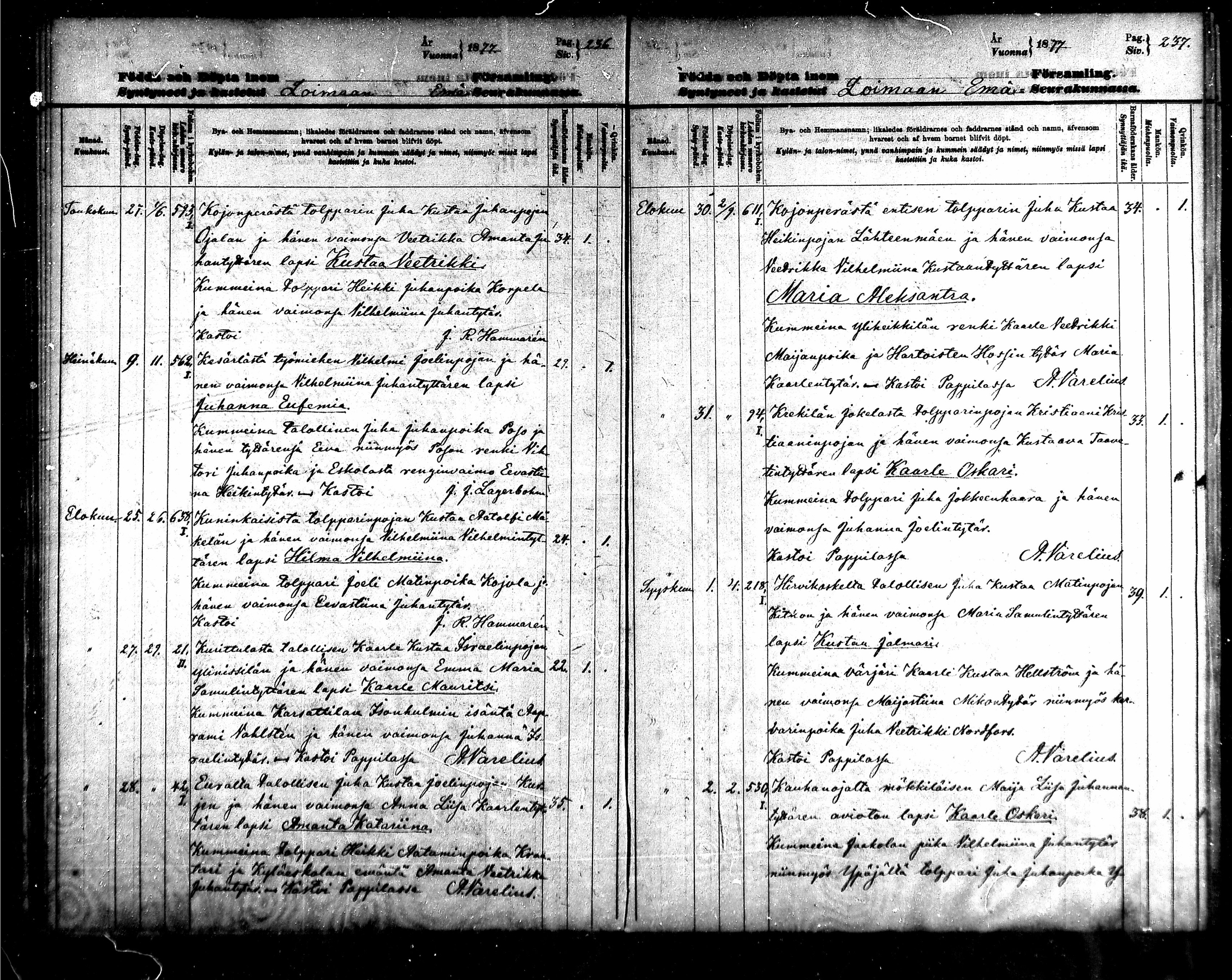 [ kuvat/120.jpg ]