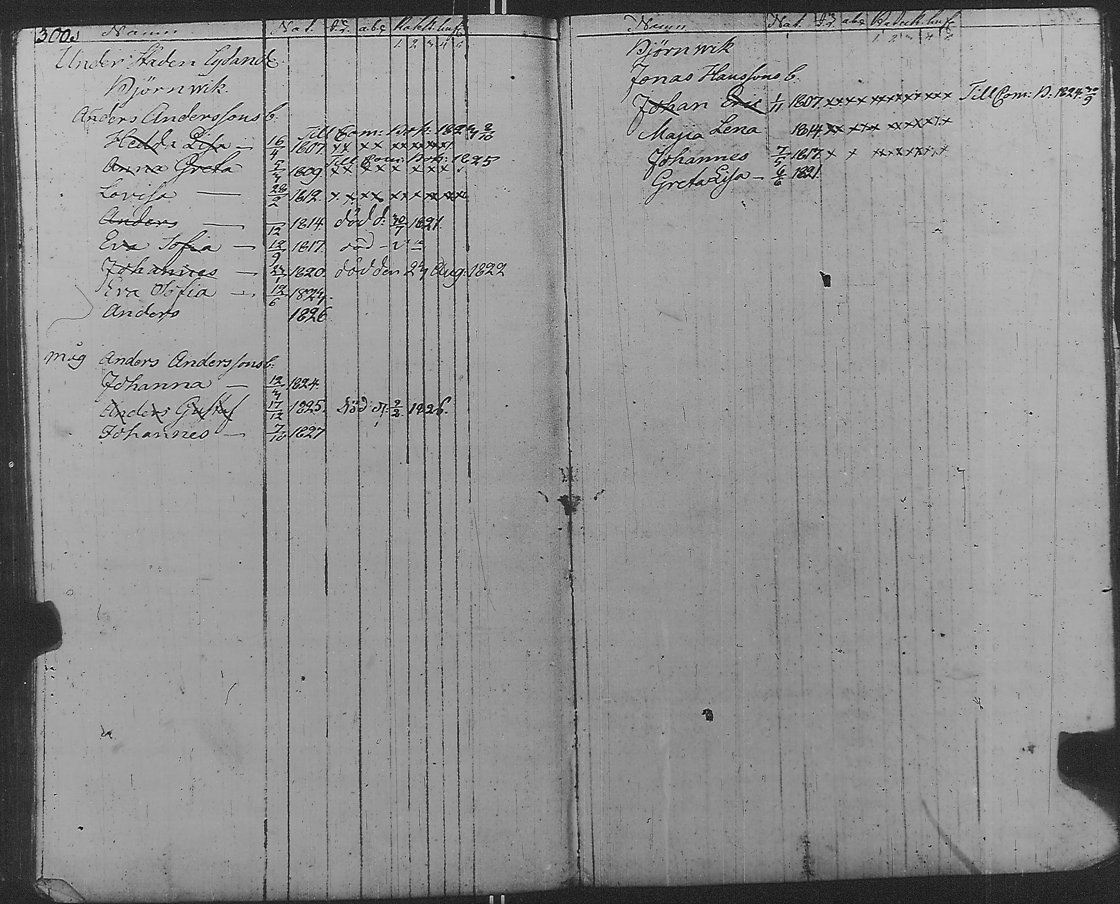 [ kuvat/295.jpg ]