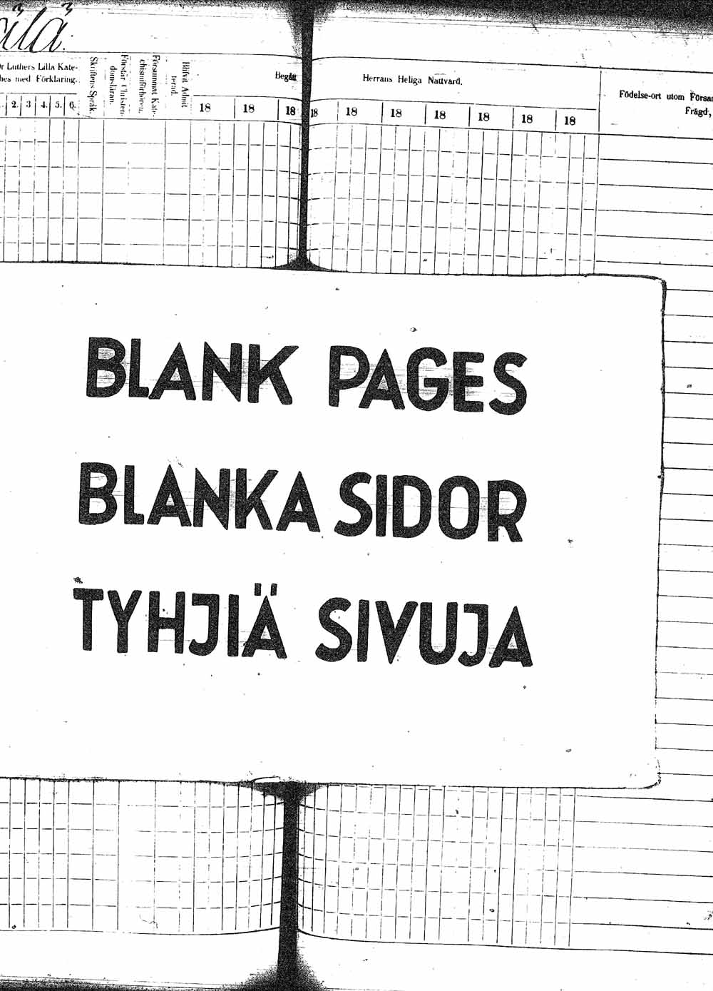 [ kuvat/203.jpg ]