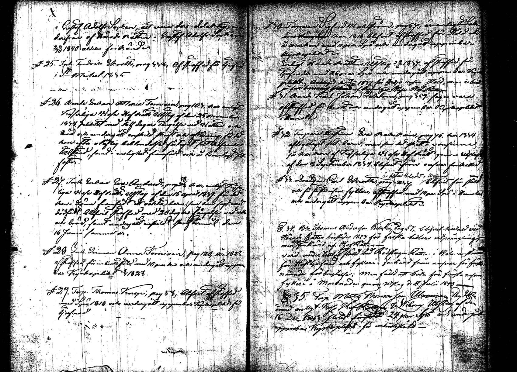 [ kuvat/407.jpg ]