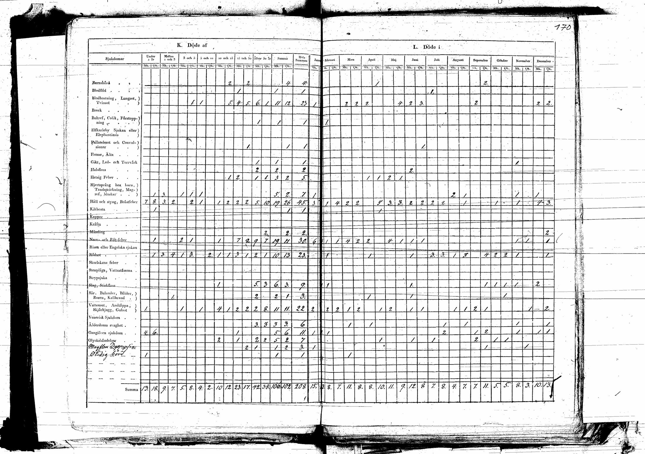 [ kuvat/168.jpg ]