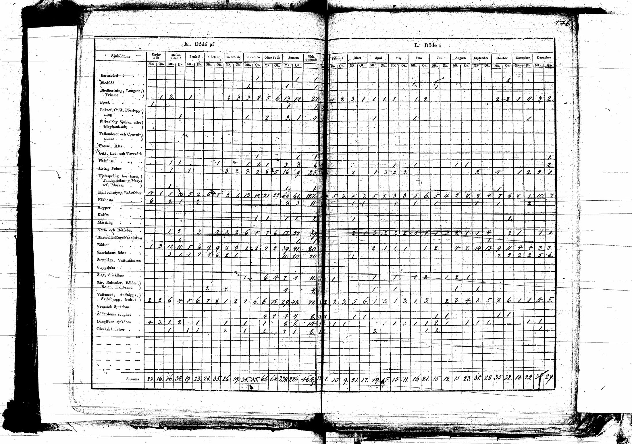 [ kuvat/174.jpg ]