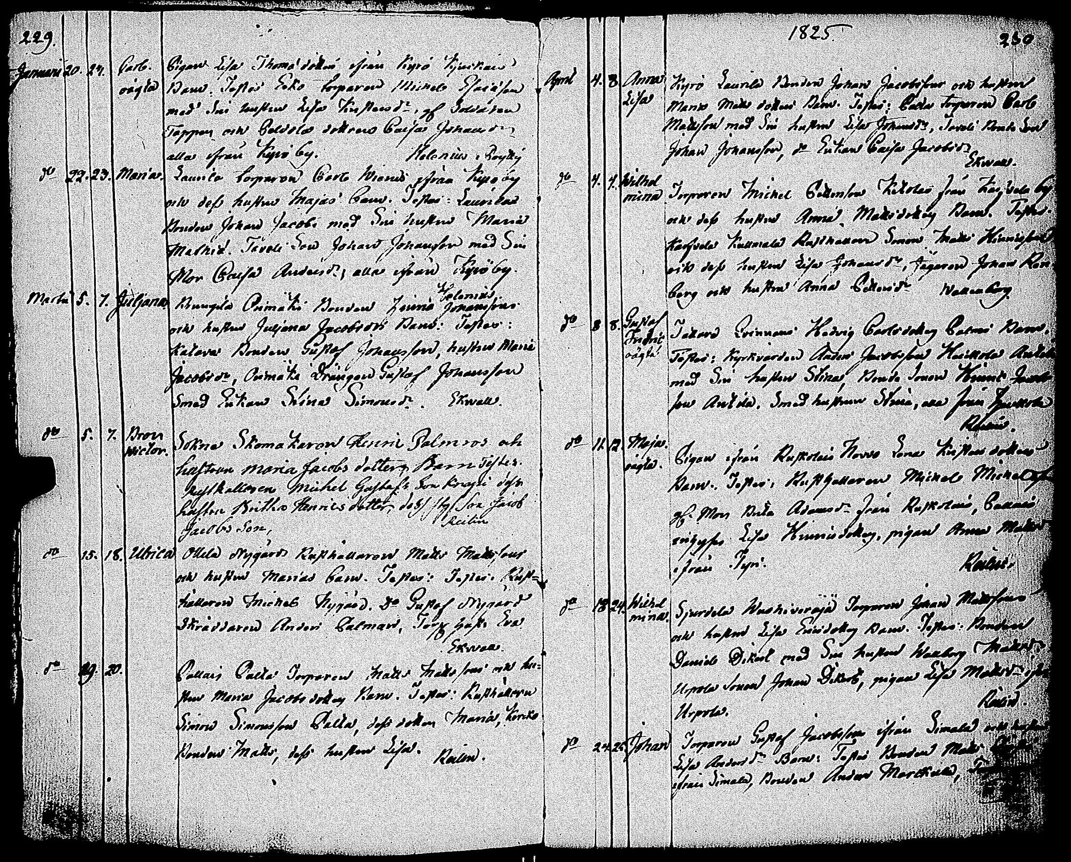 [ kuvat/119.jpg ]