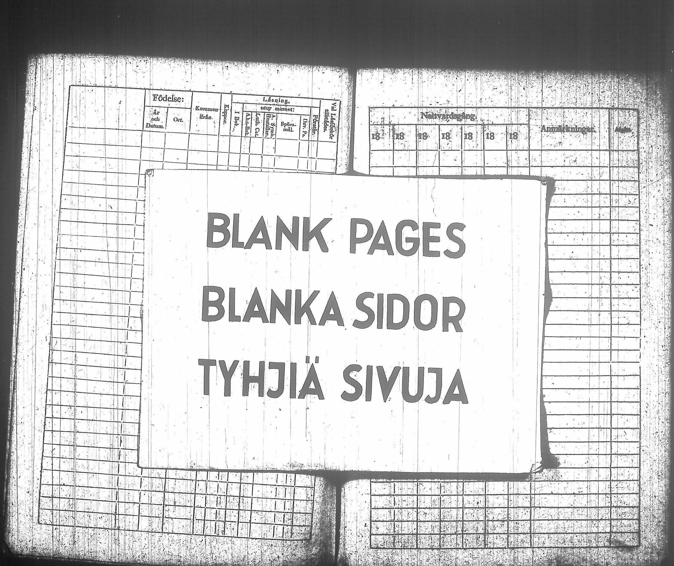 [ kuvat/295.jpg ]