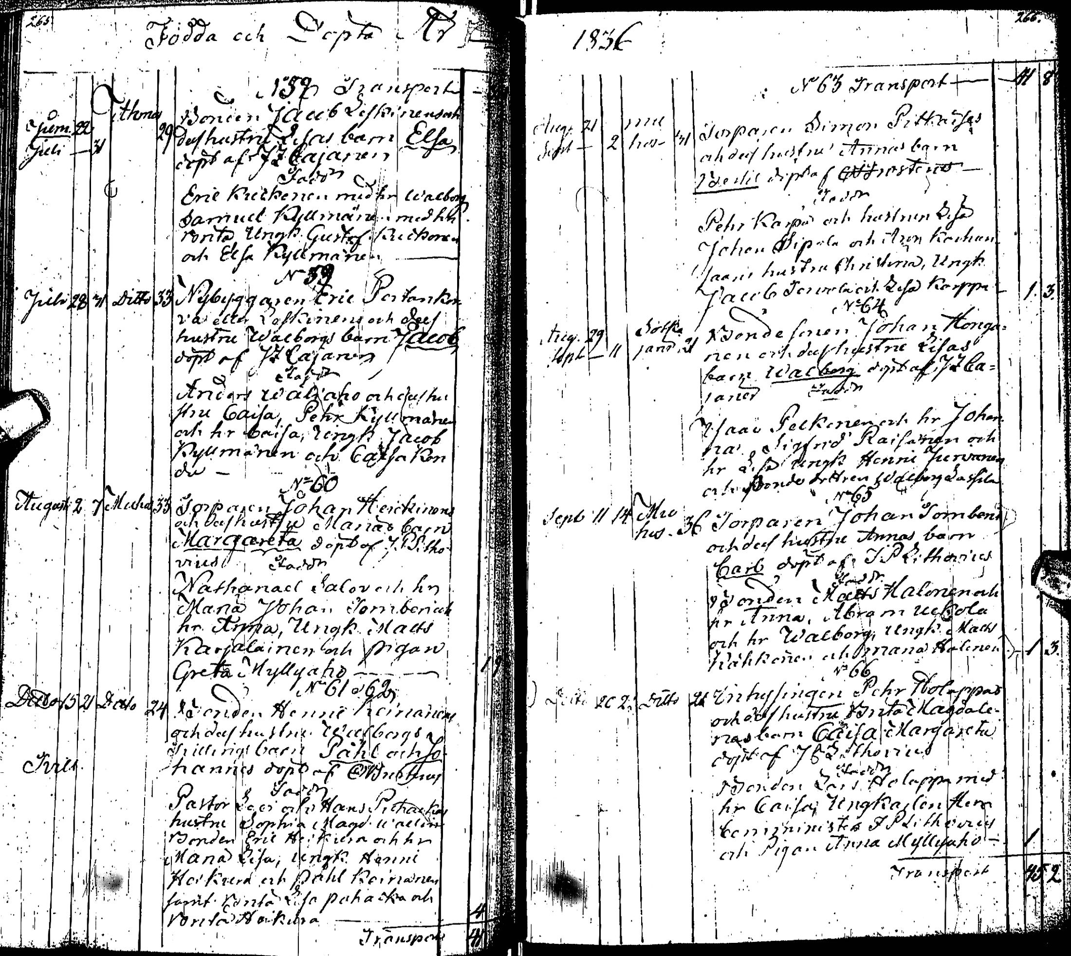[ kuvat/146.jpg ]