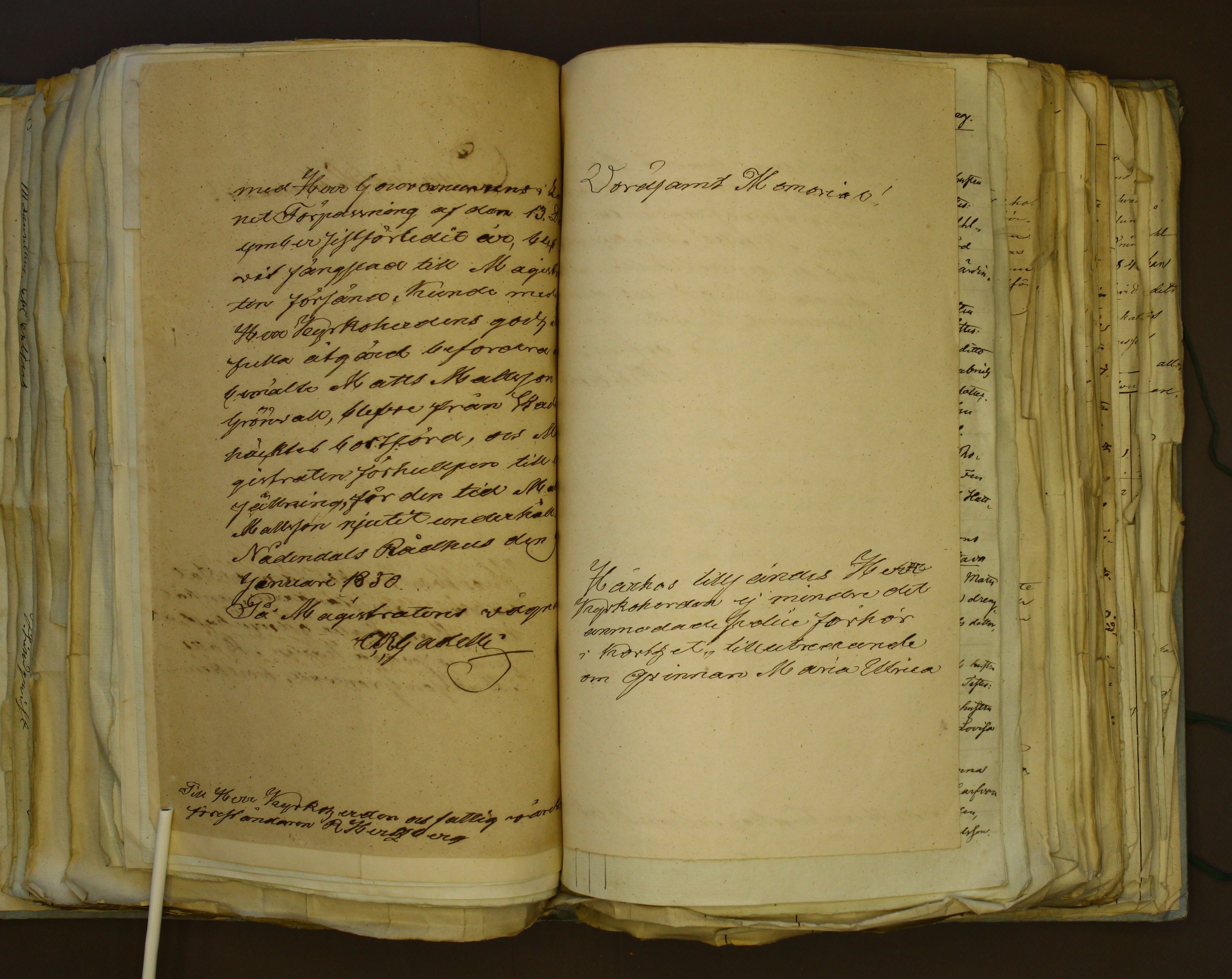 [ kuvat/297.jpg ]