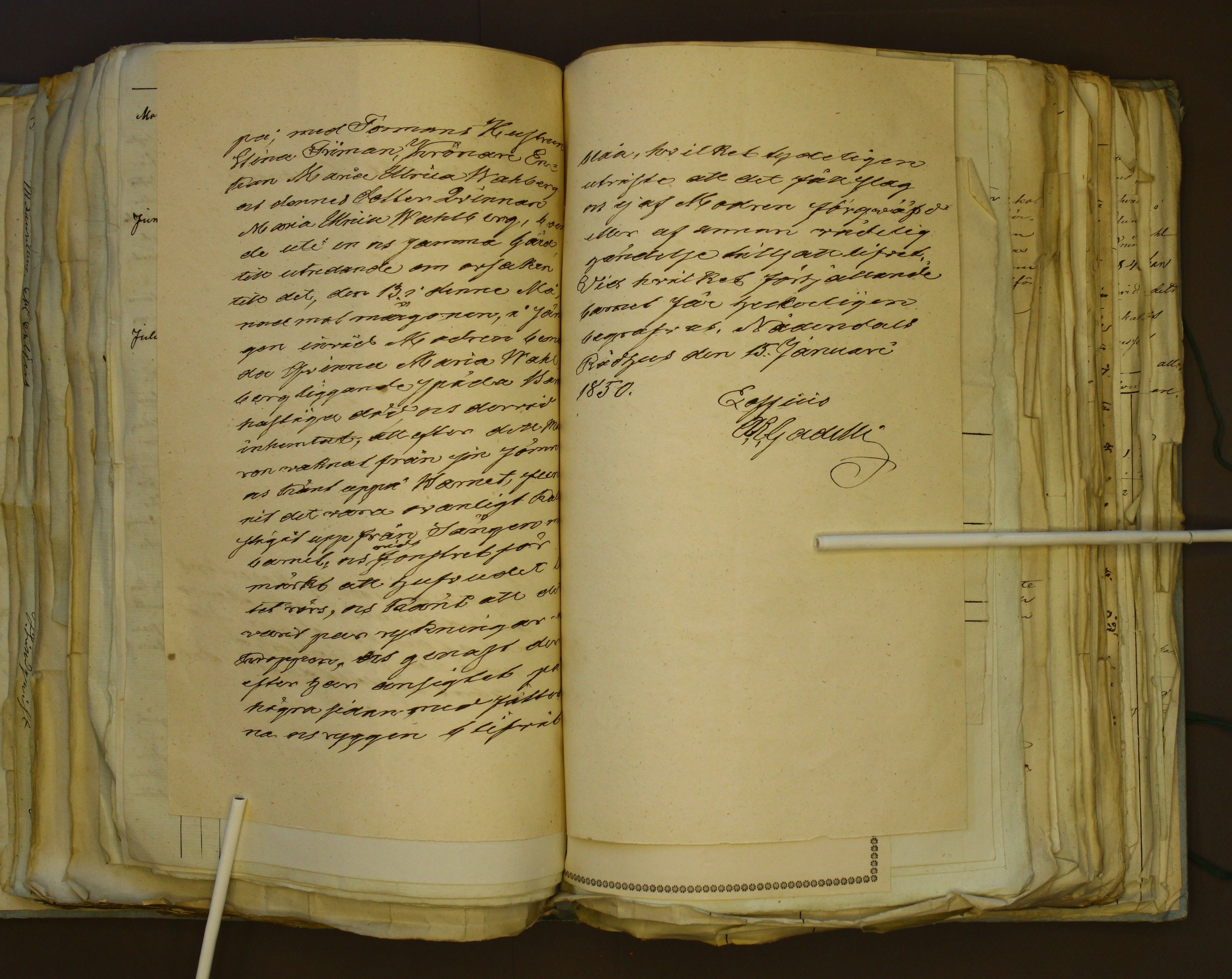 [ kuvat/303.jpg ]
