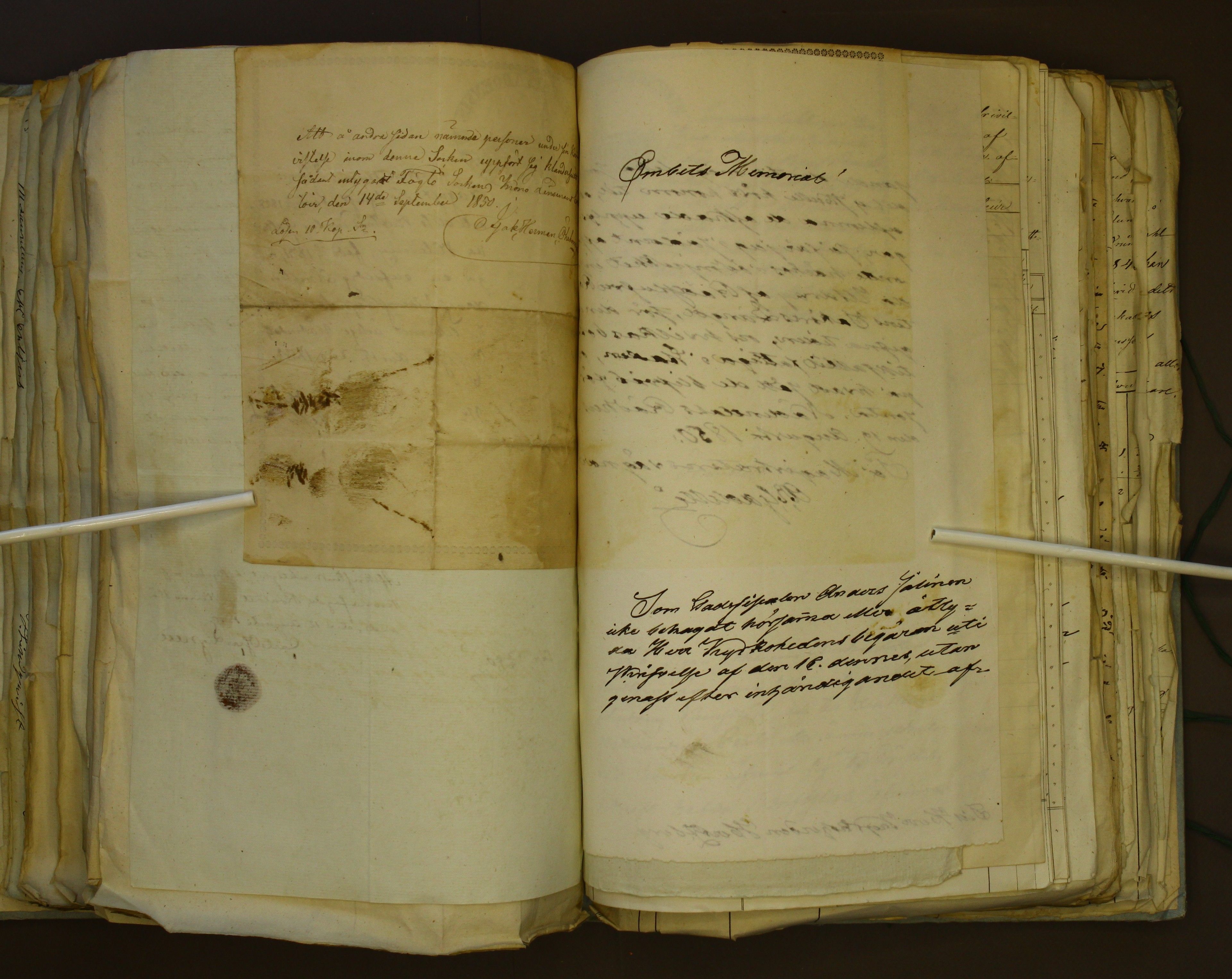 [ kuvat/381.jpg ]