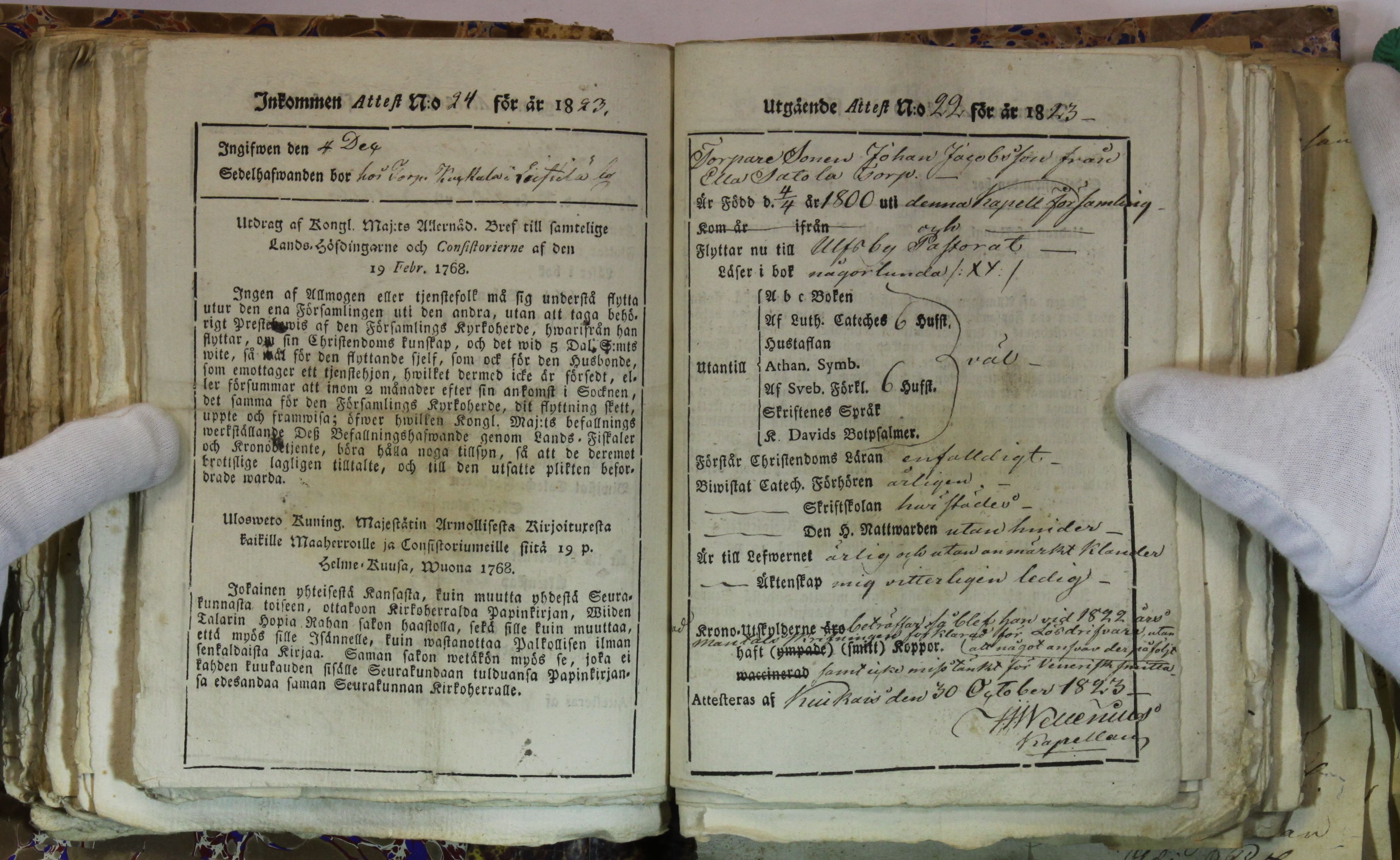 [ kuvat/172.jpg ]
