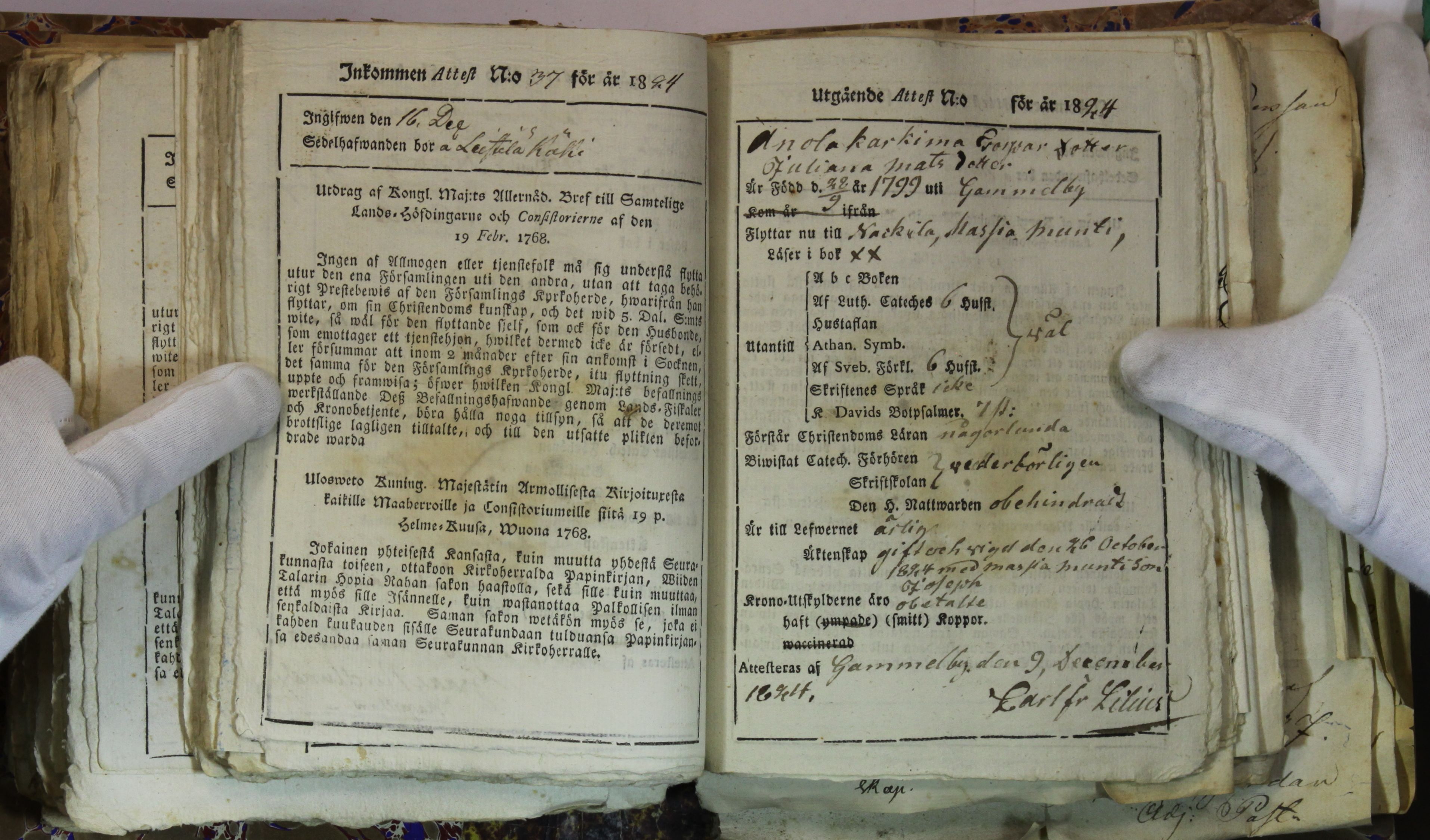 [ kuvat/221.jpg ]