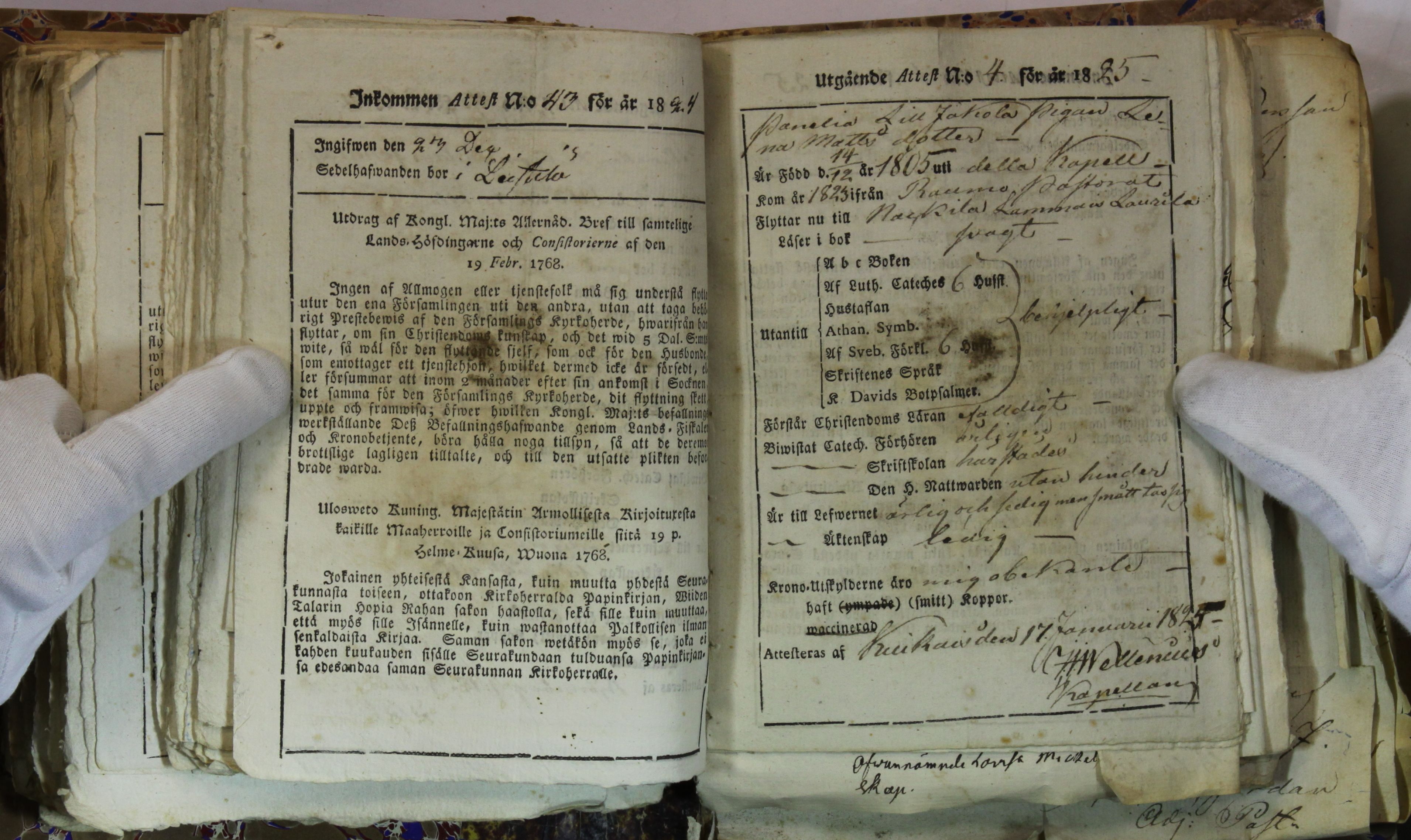 [ kuvat/228.jpg ]
