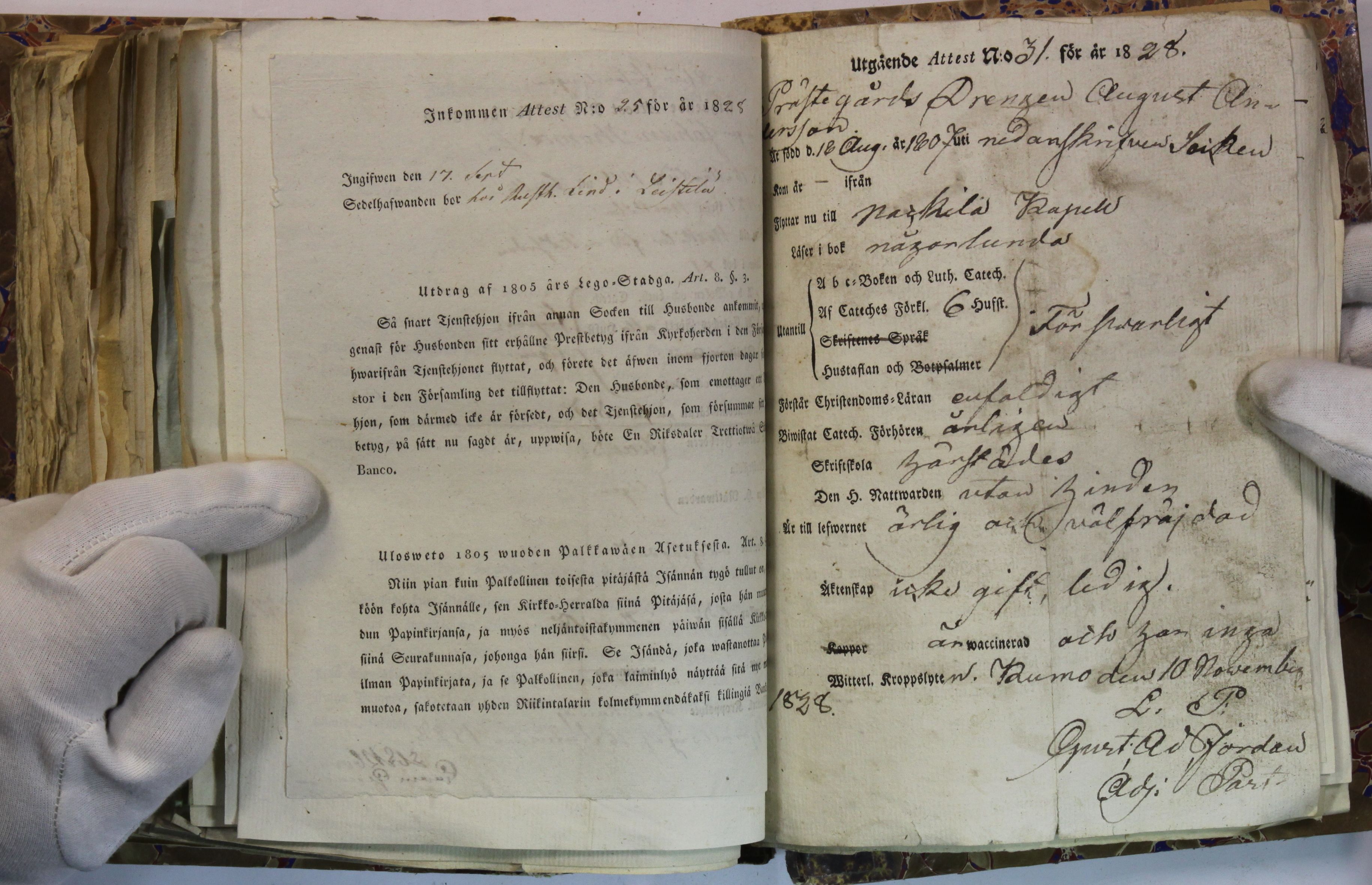 [ kuvat/387.jpg ]