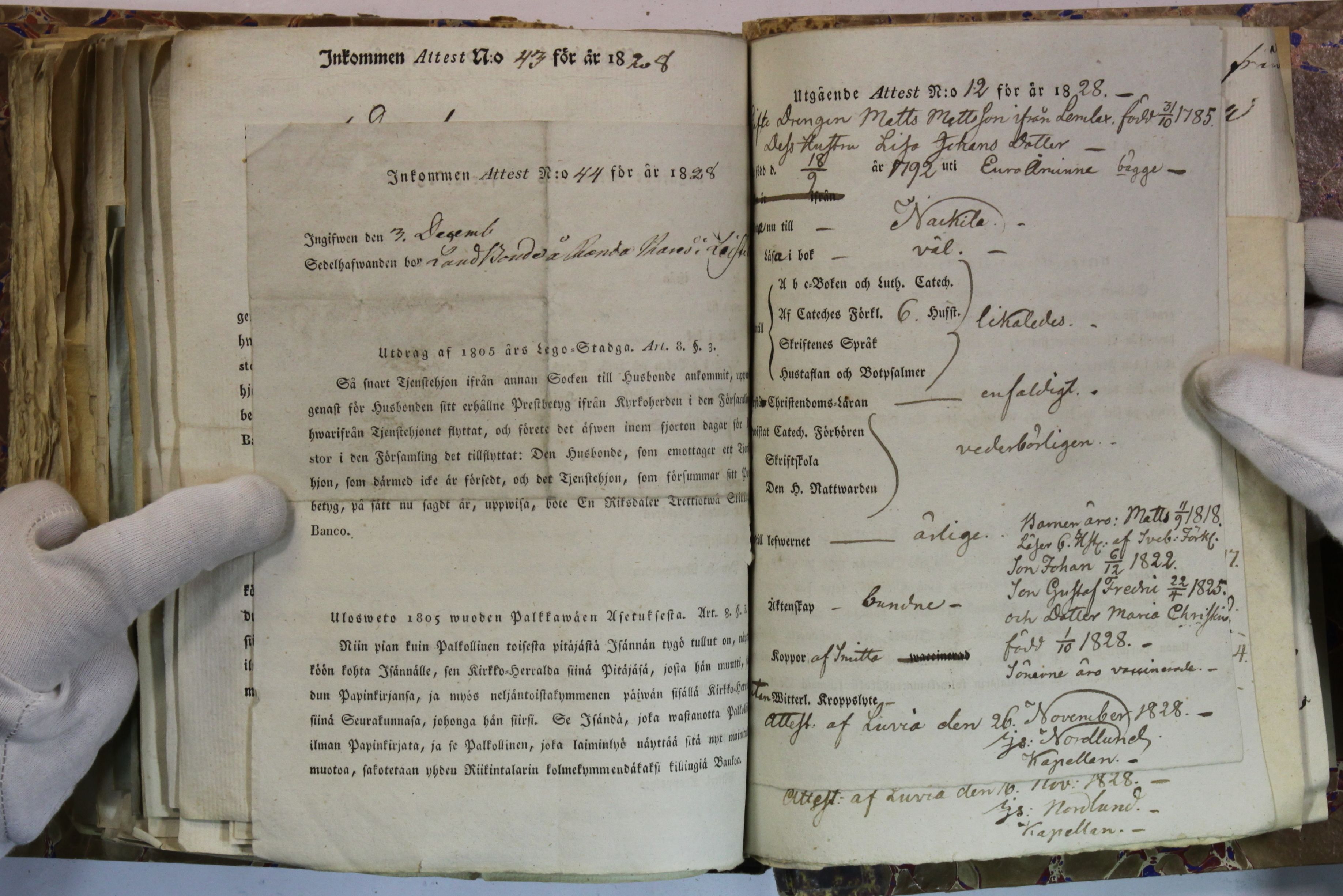 [ kuvat/406.jpg ]
