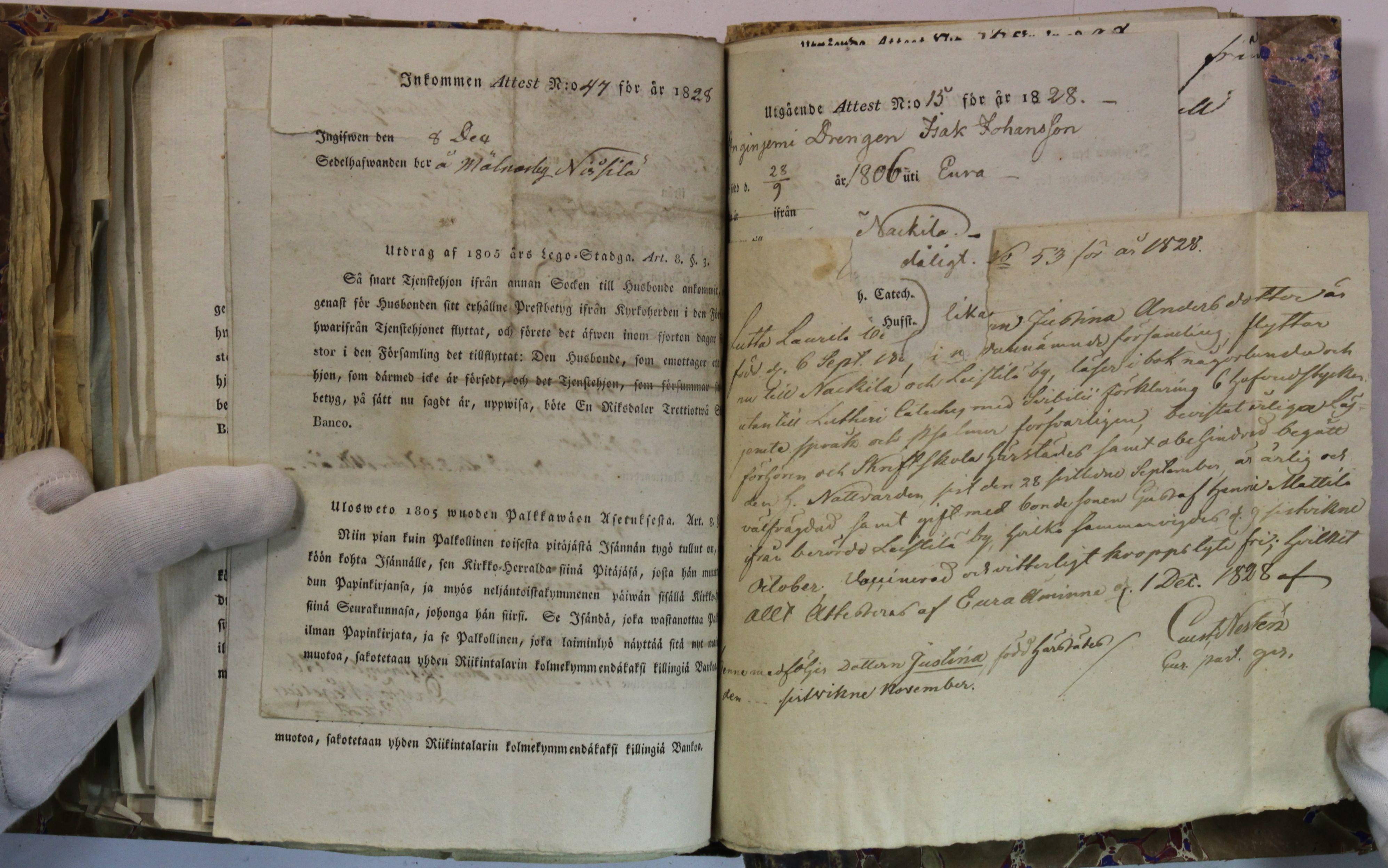 [ kuvat/409.jpg ]