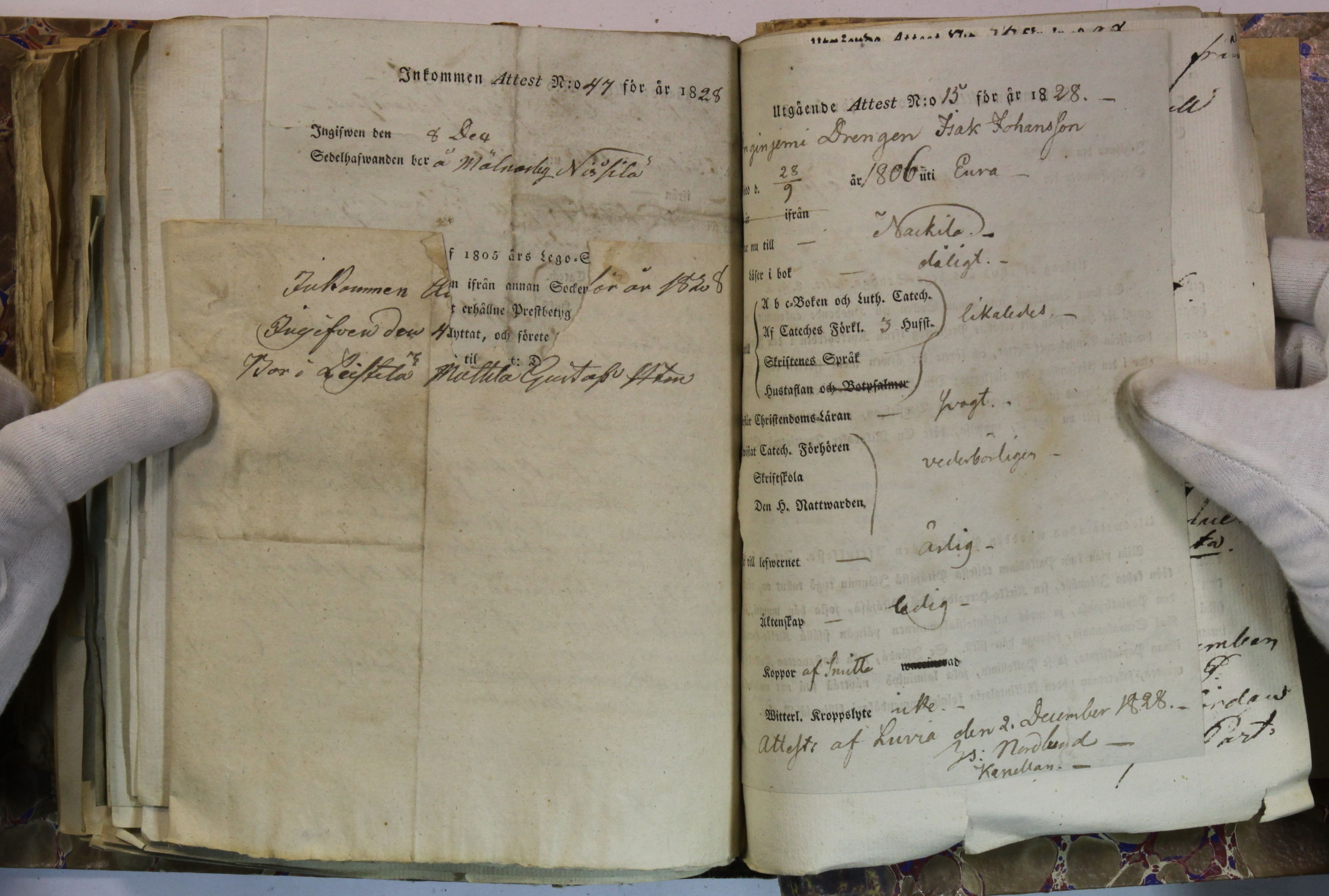 [ kuvat/410.jpg ]