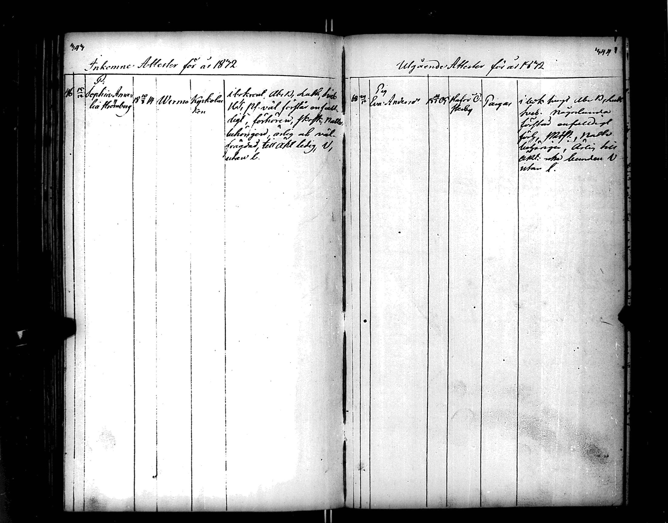 [ kuvat/178.jpg ]