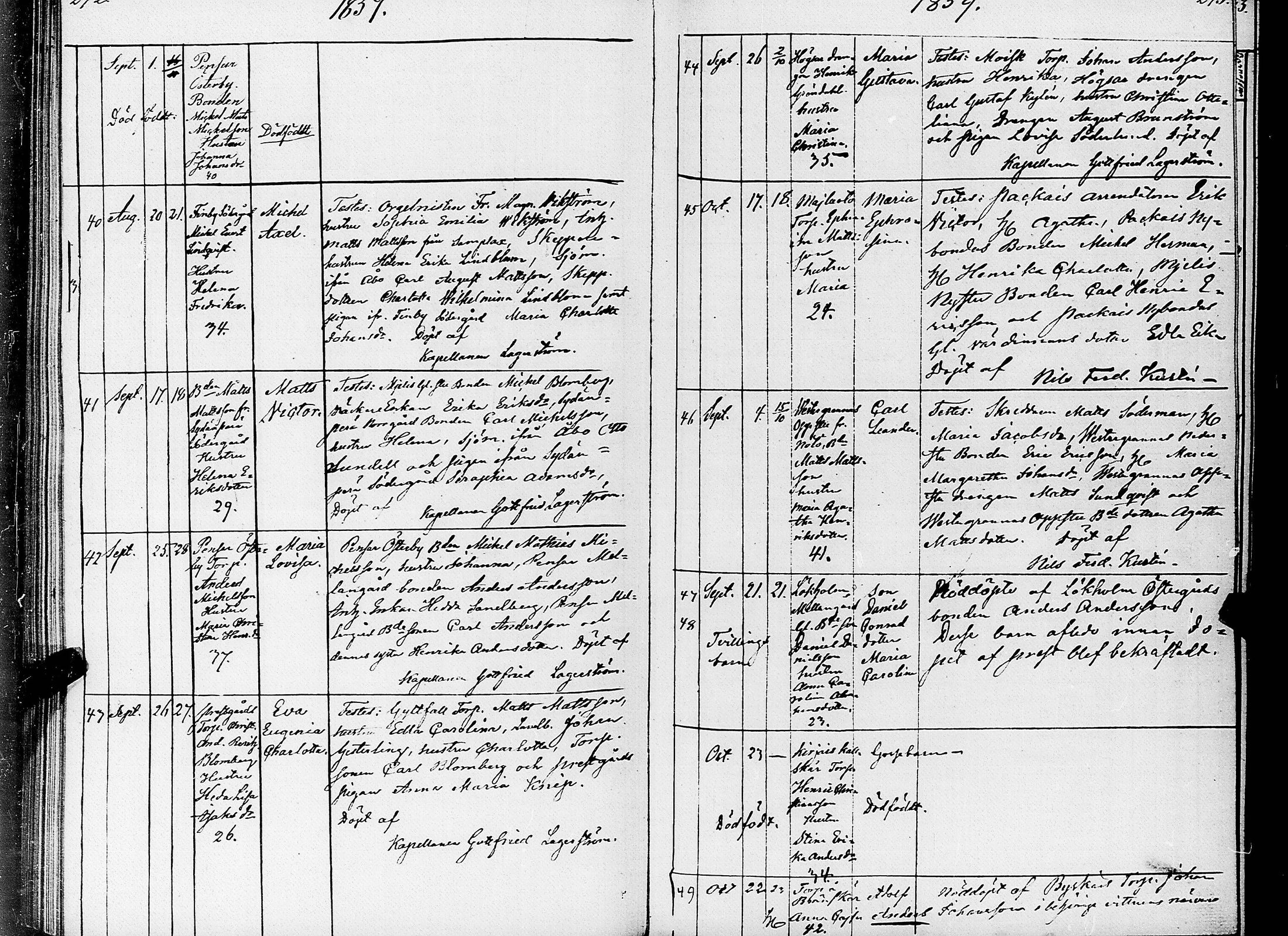 [ kuvat/145.jpg ]