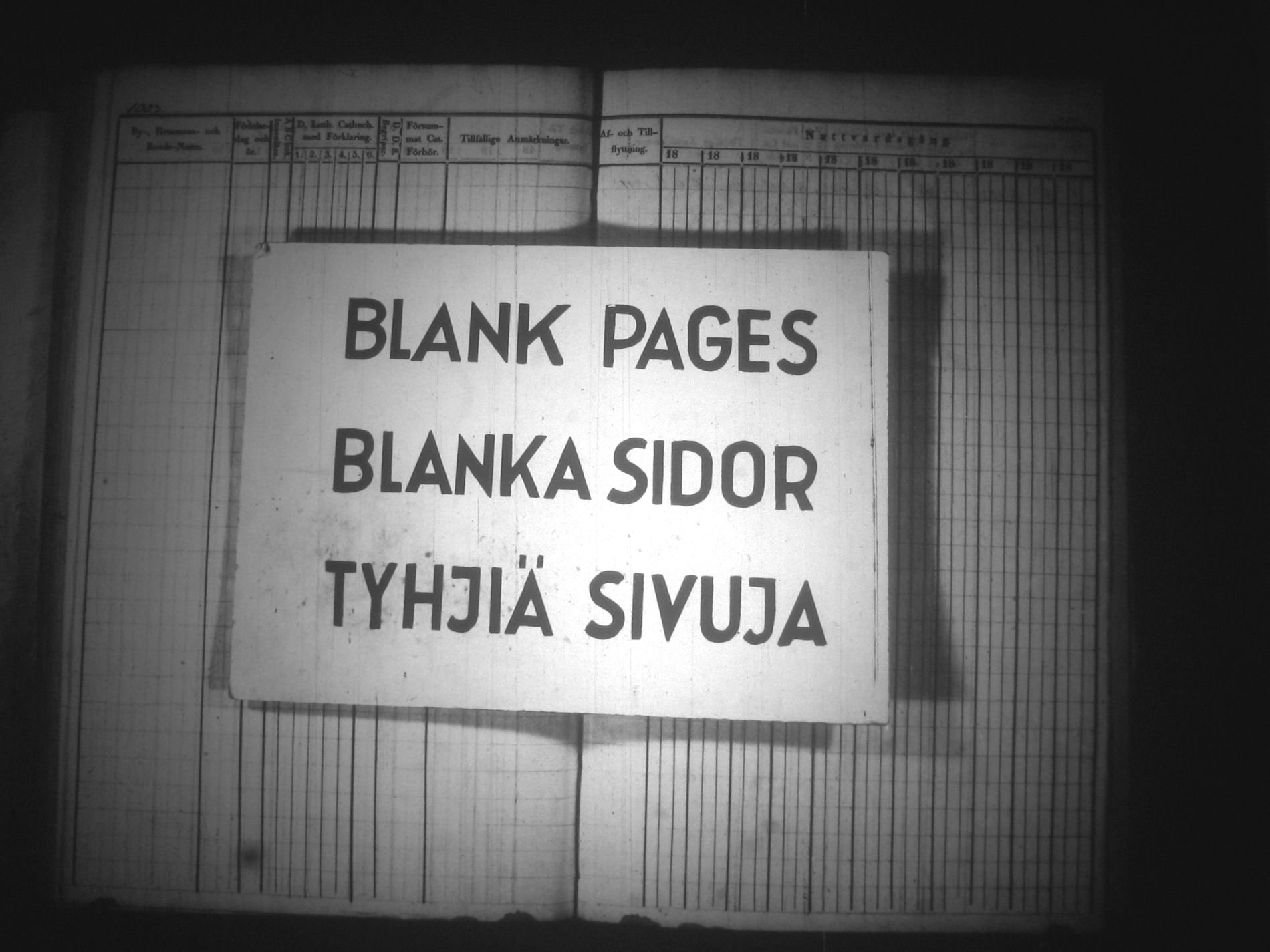 [ kuvat/462.jpg ]