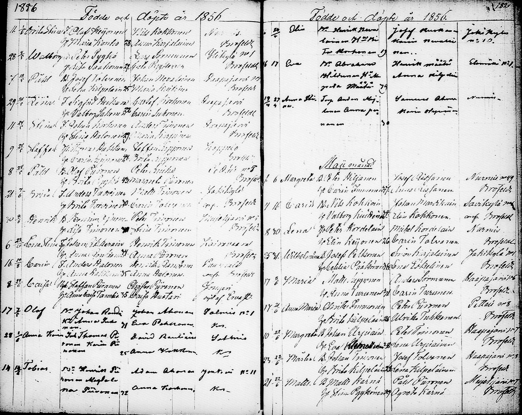 [ kuvat/187.jpg ]