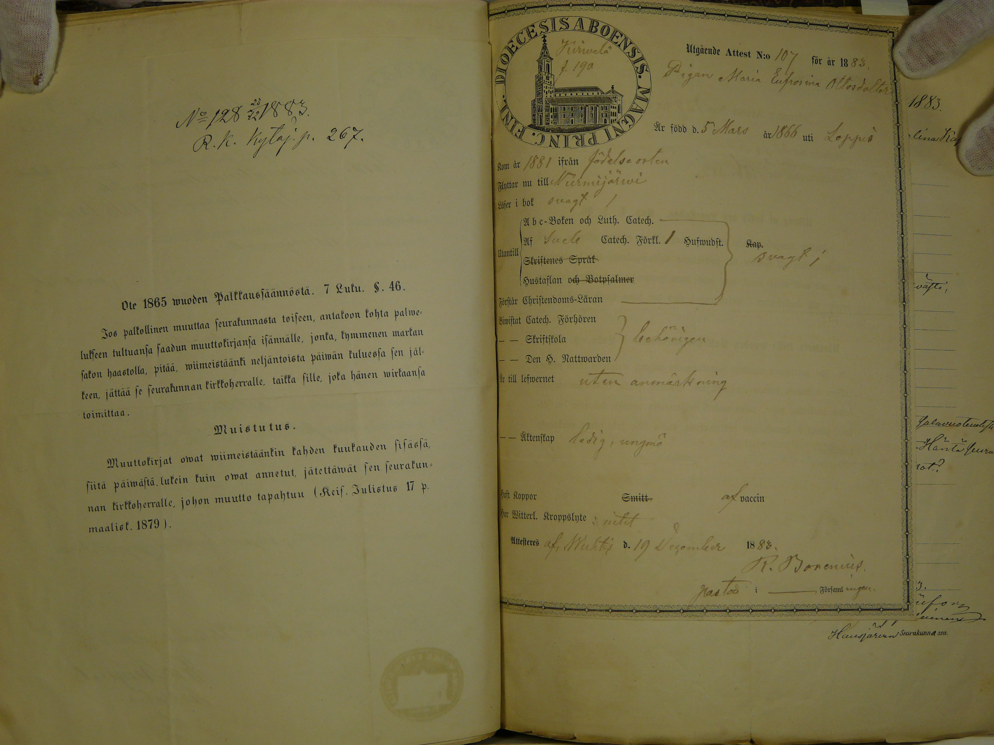 [ kuvat/318.jpg ]