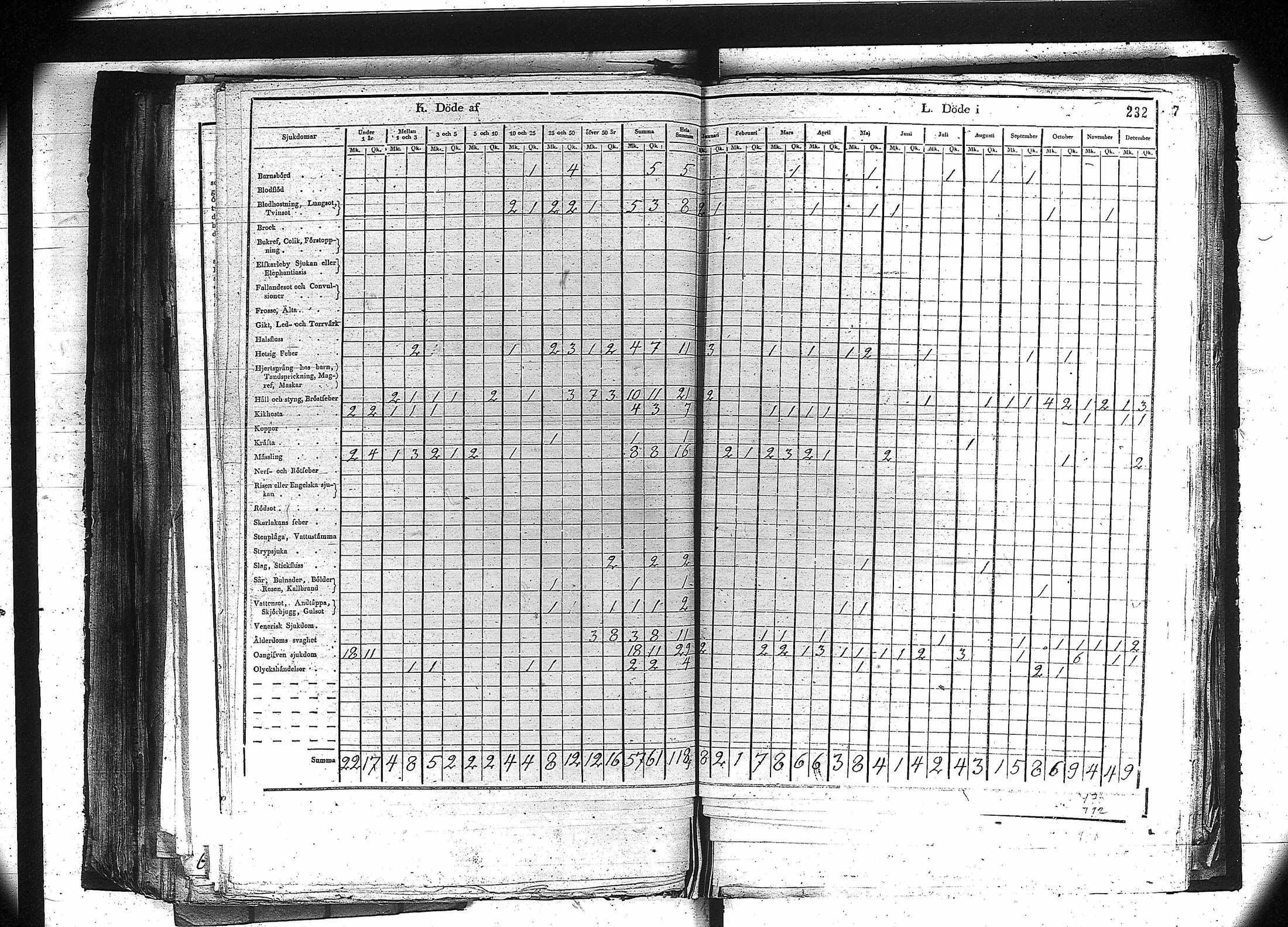 [ kuvat/219.jpg ]