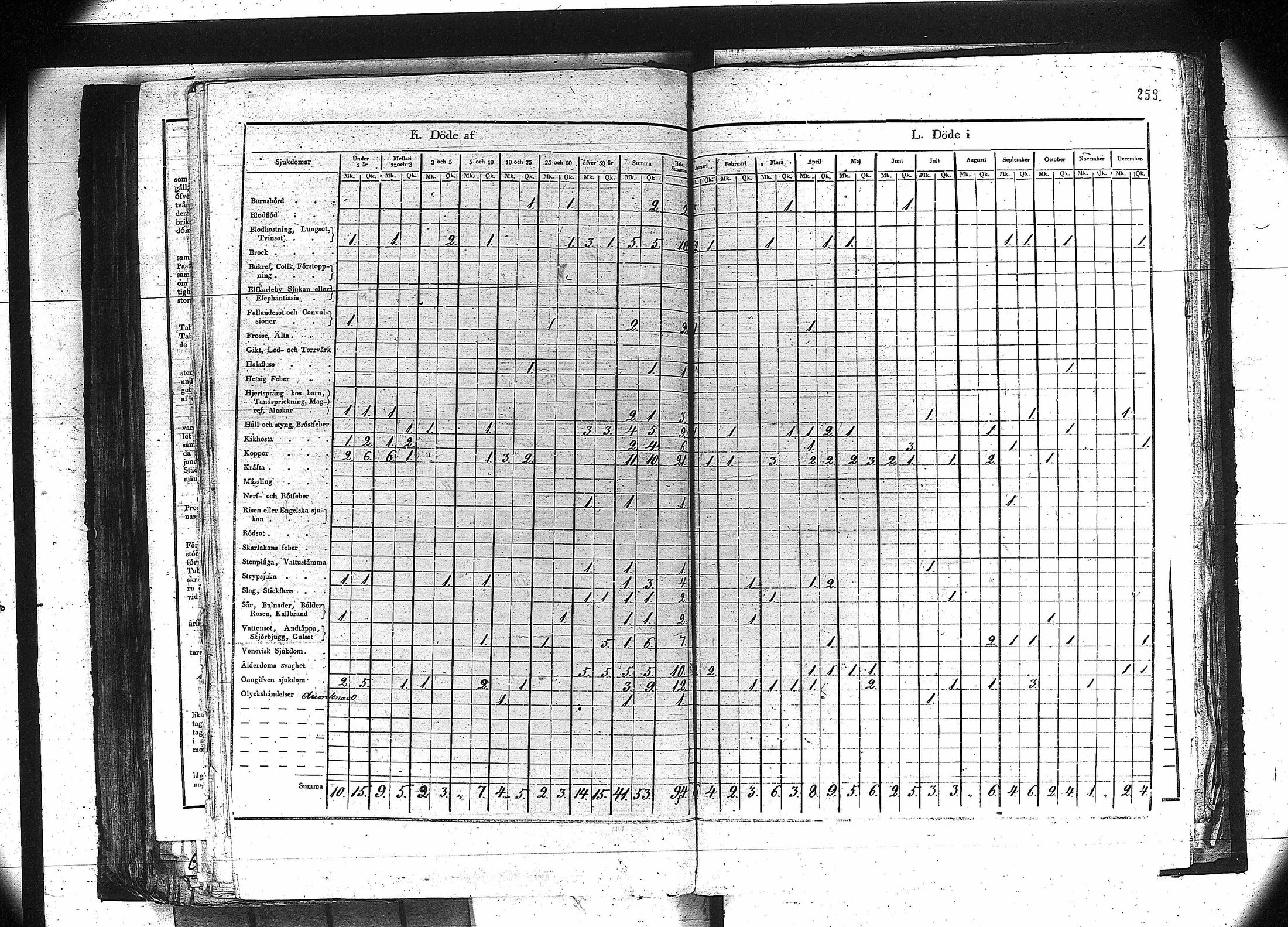 [ kuvat/245.jpg ]