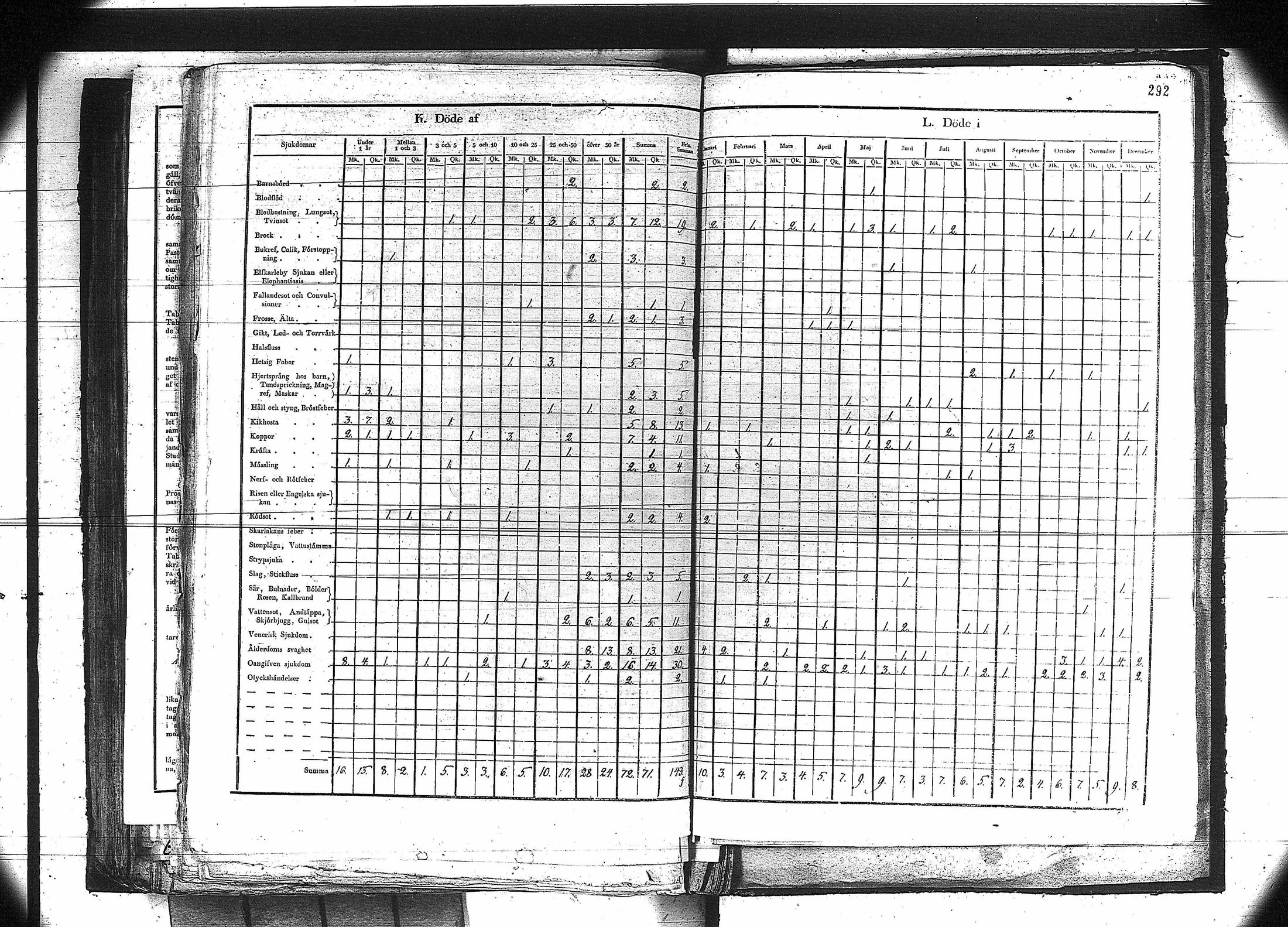 [ kuvat/279.jpg ]