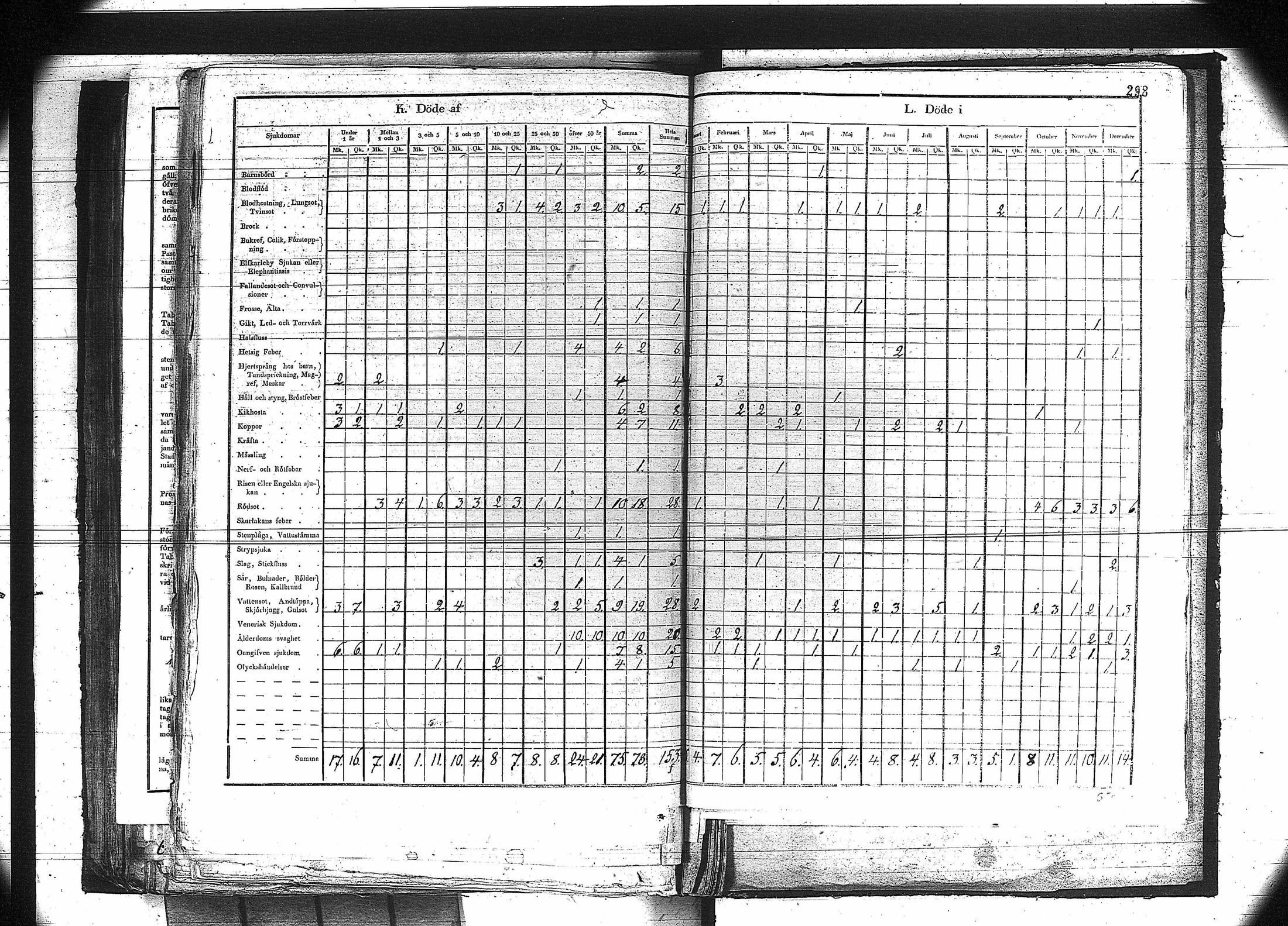 [ kuvat/285.jpg ]
