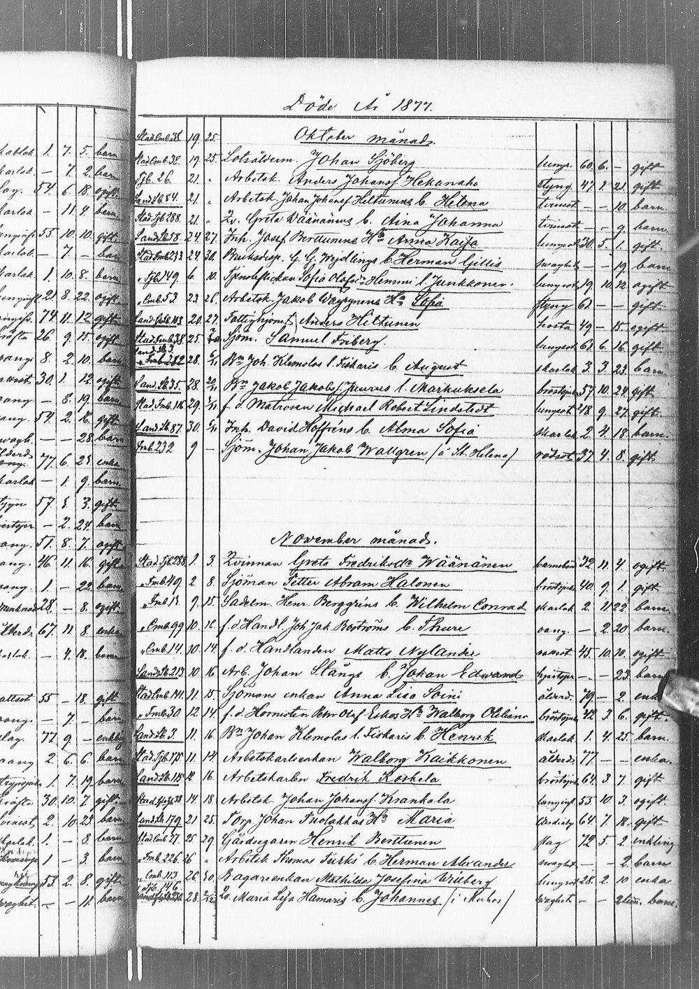 [ kuvat/176.jpg ]