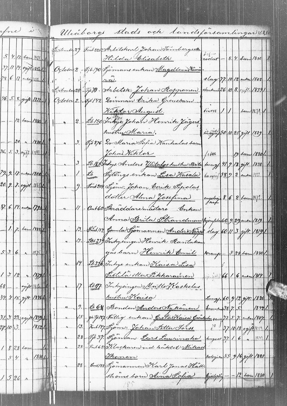 [ kuvat/202.jpg ]