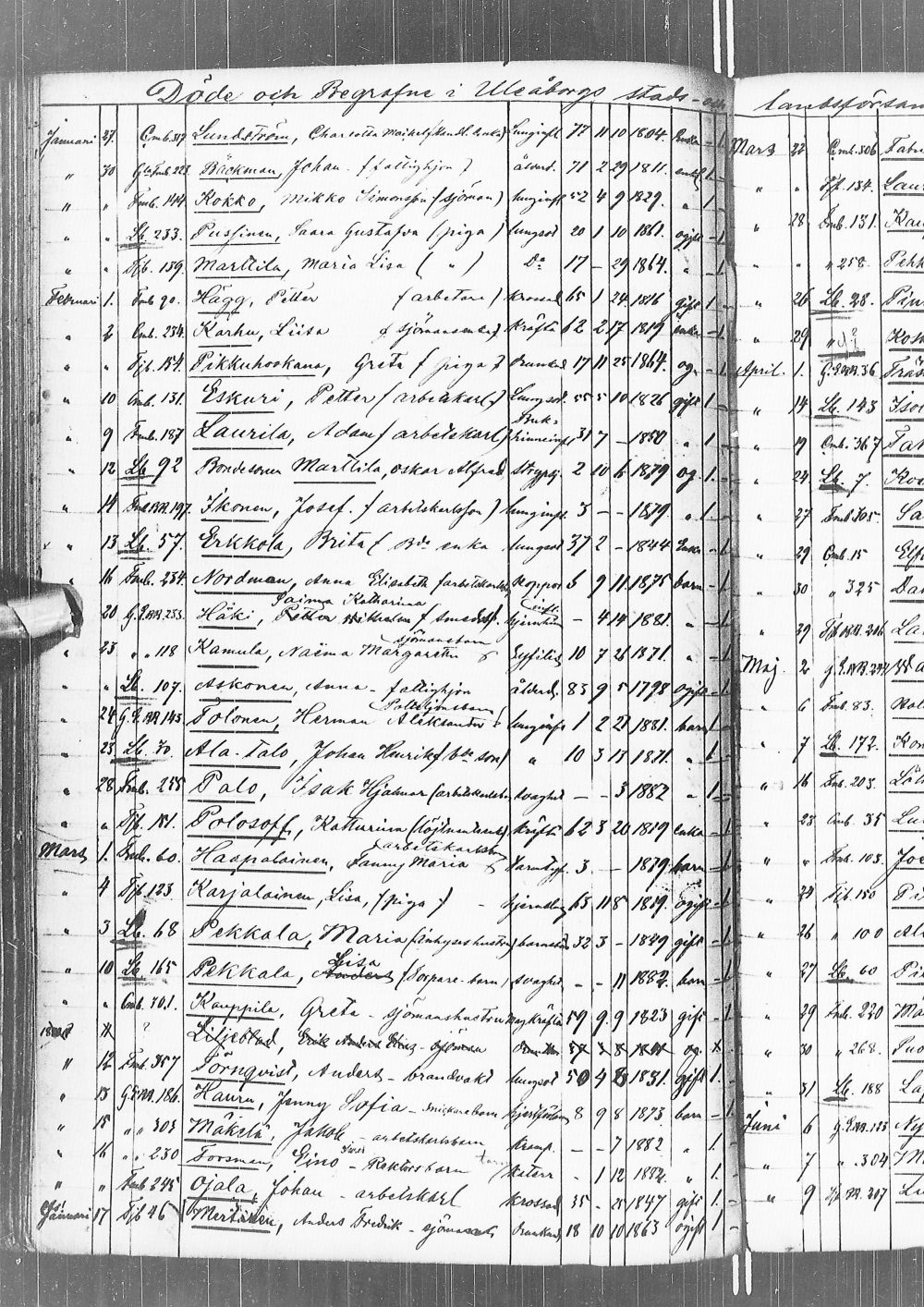 [ kuvat/215.jpg ]